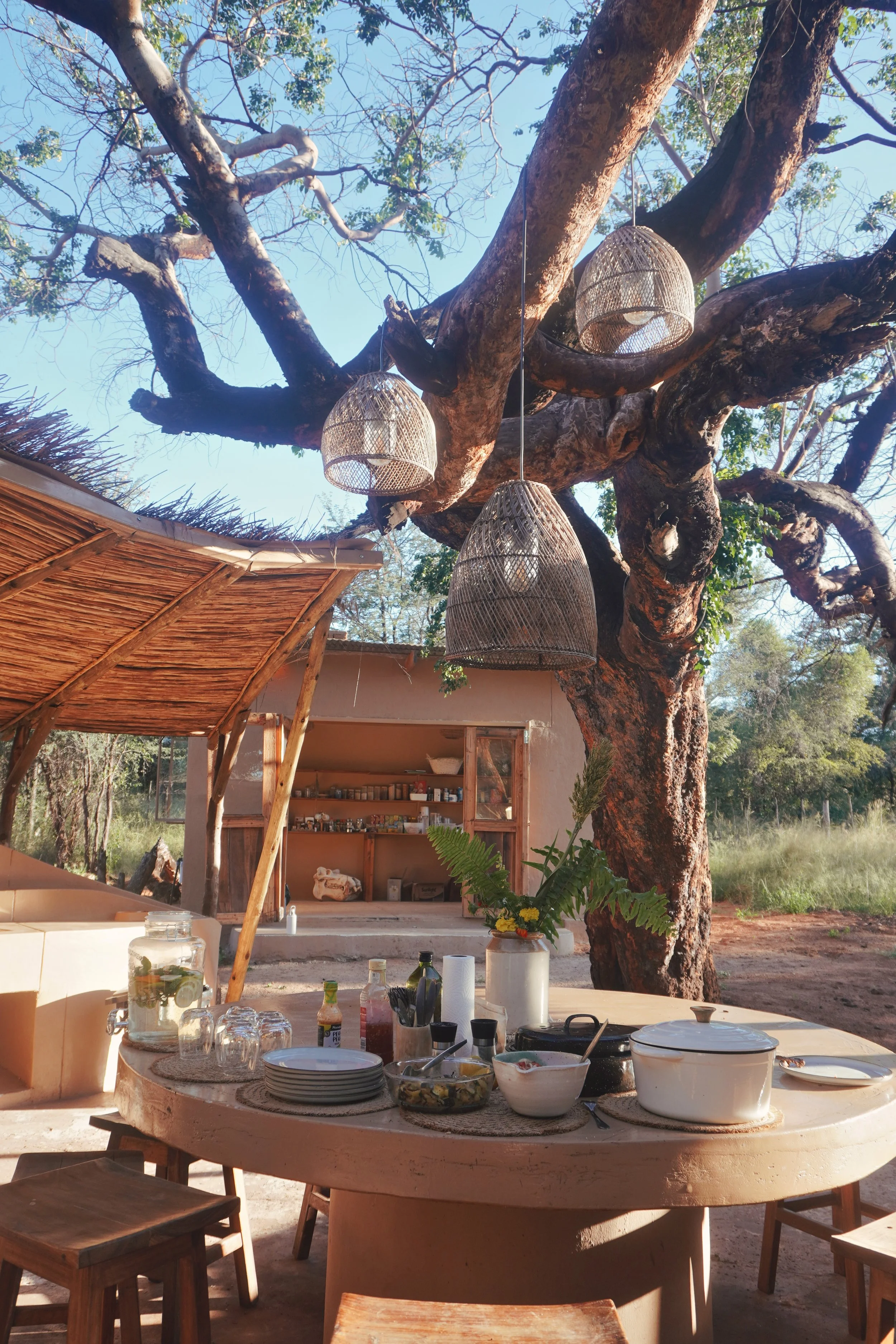 Outdoor dining setup under a large tree with hanging basket lights, wooden furniture, and a thatched roof.