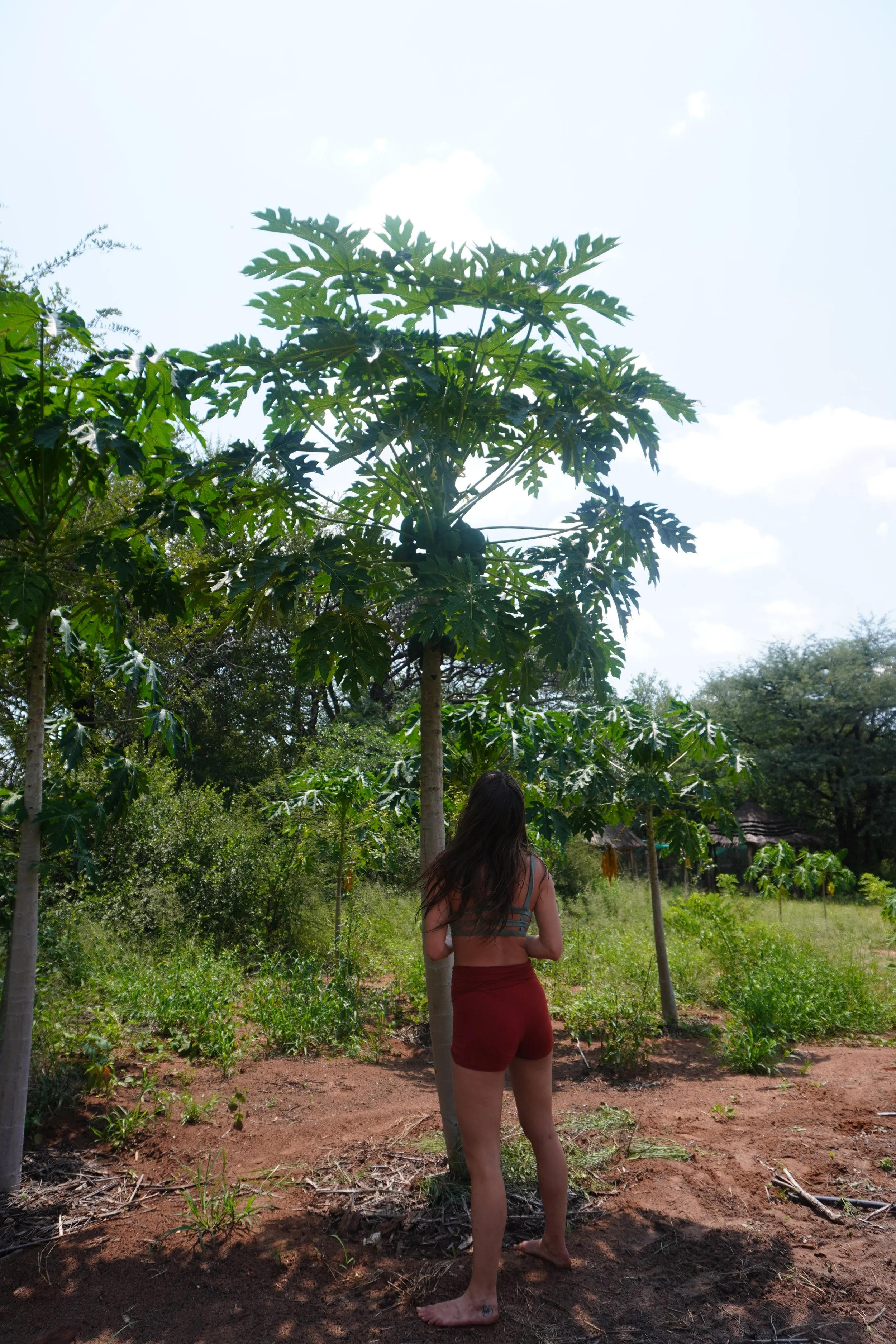 A woman with long hair wearing a tank top and red shorts stands barefoot on dirt in a lush green outdoor setting, with trees and a small traditional hut visible in the background, under a partly cloudy sky.
