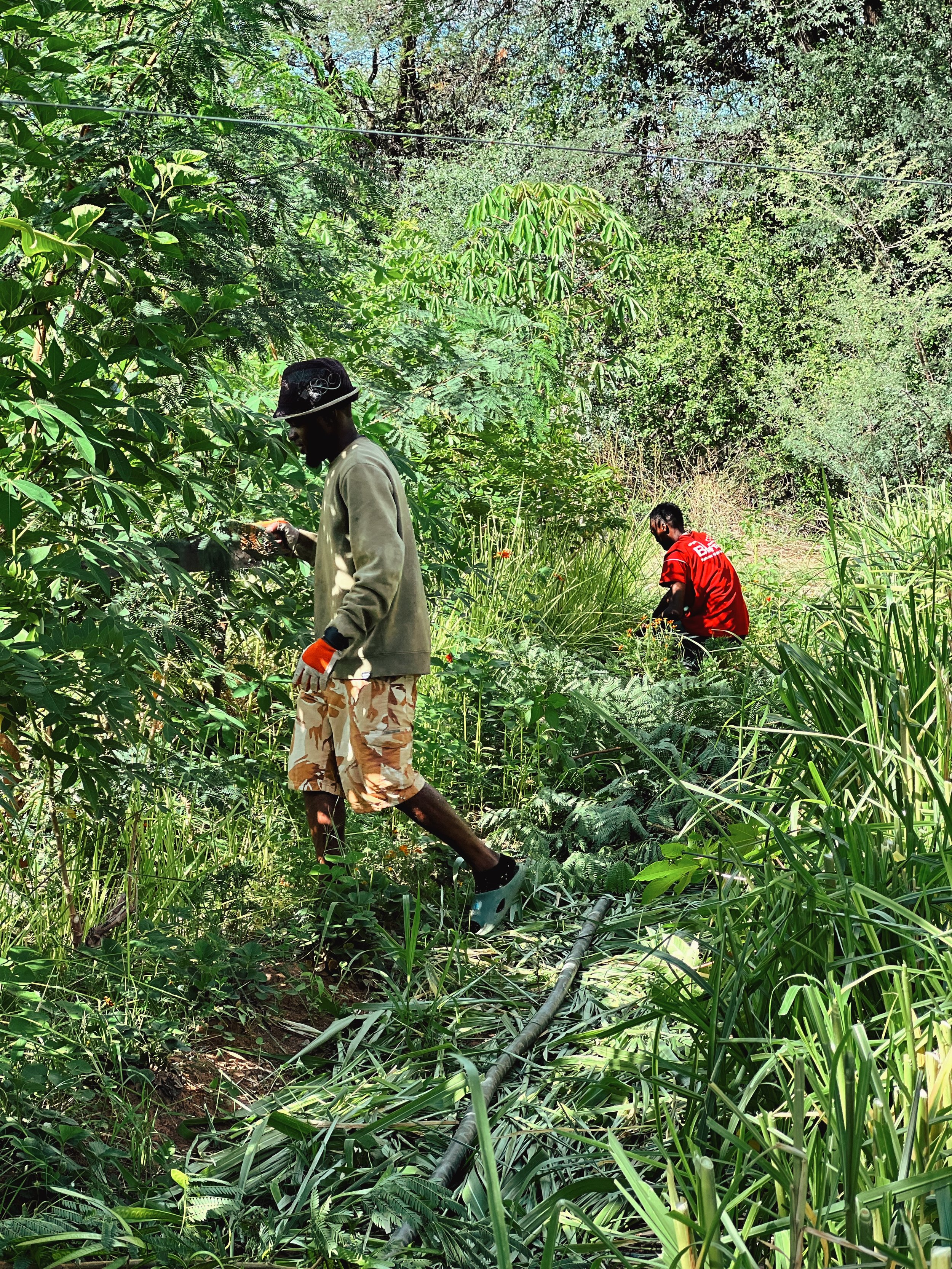 Two men in a dense green jungle, one wearing a black hat and beige jacket looking at a phone, the other in a red shirt and black pants bending down among tall grass and plants.