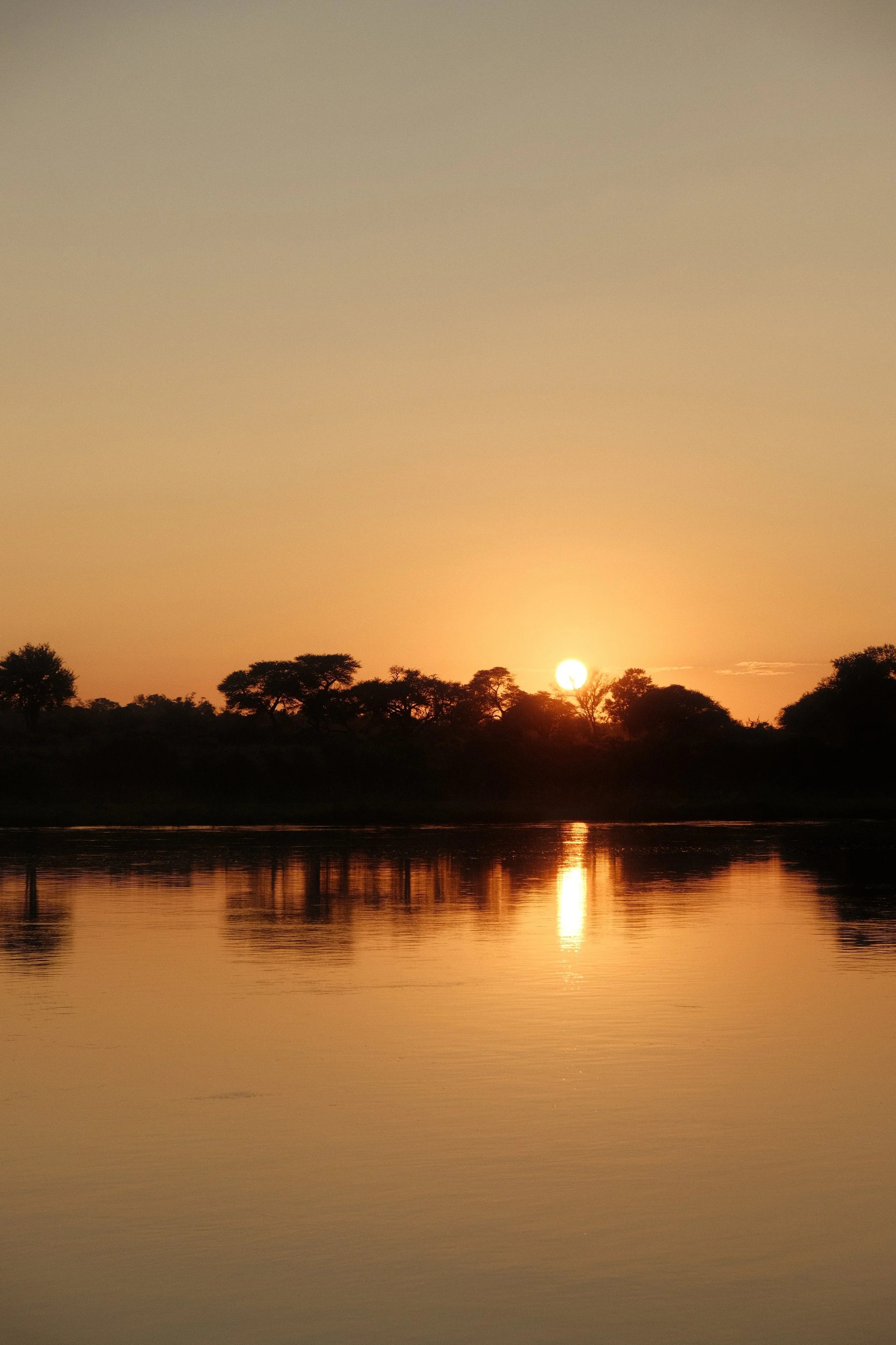 Sunset over a river with silhouettes of trees on the horizon, reflecting on the water.