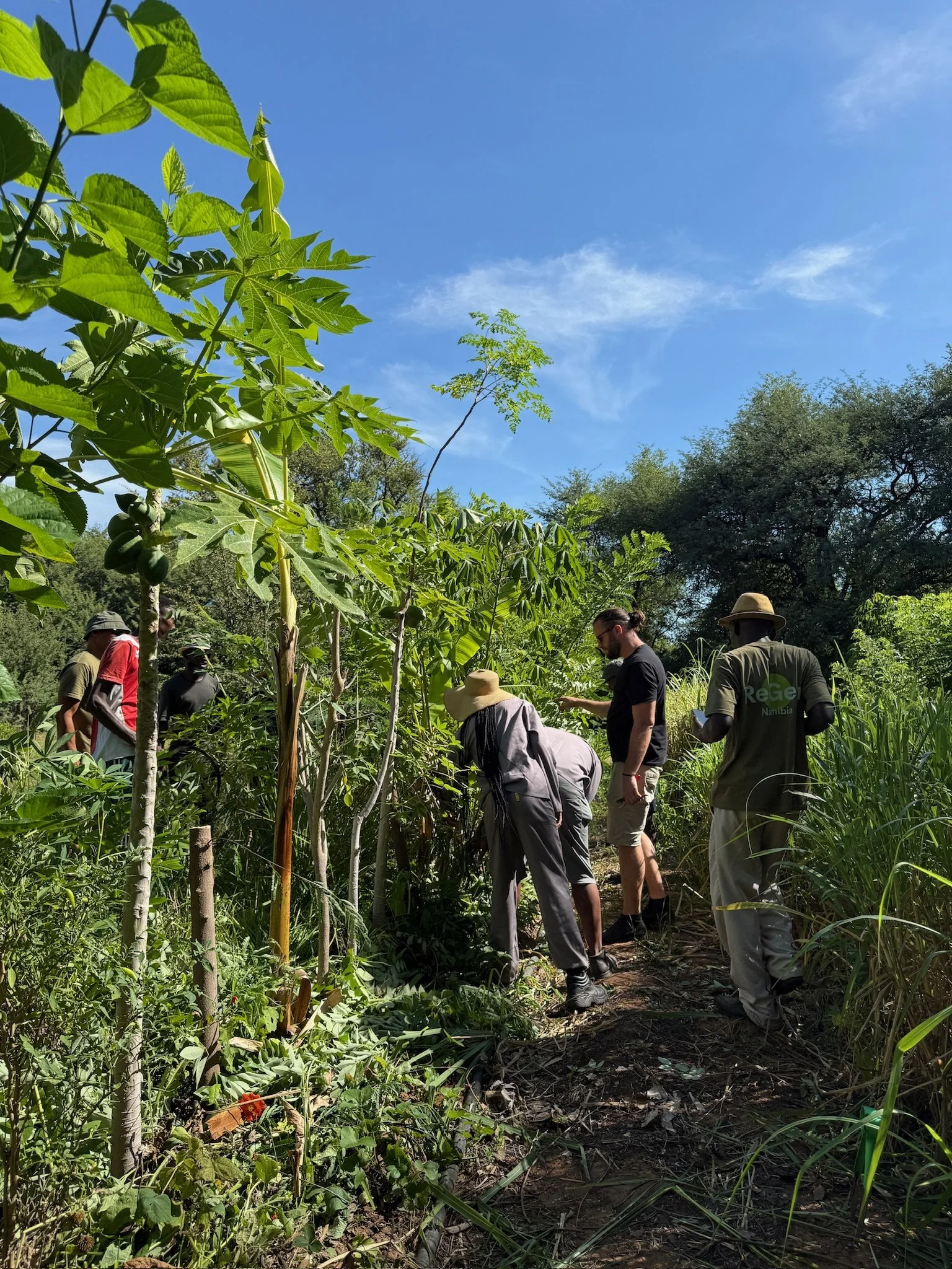 A group of people in a lush, green outdoor setting, possibly a farm or garden, with tall plants and trees against a bright blue sky.