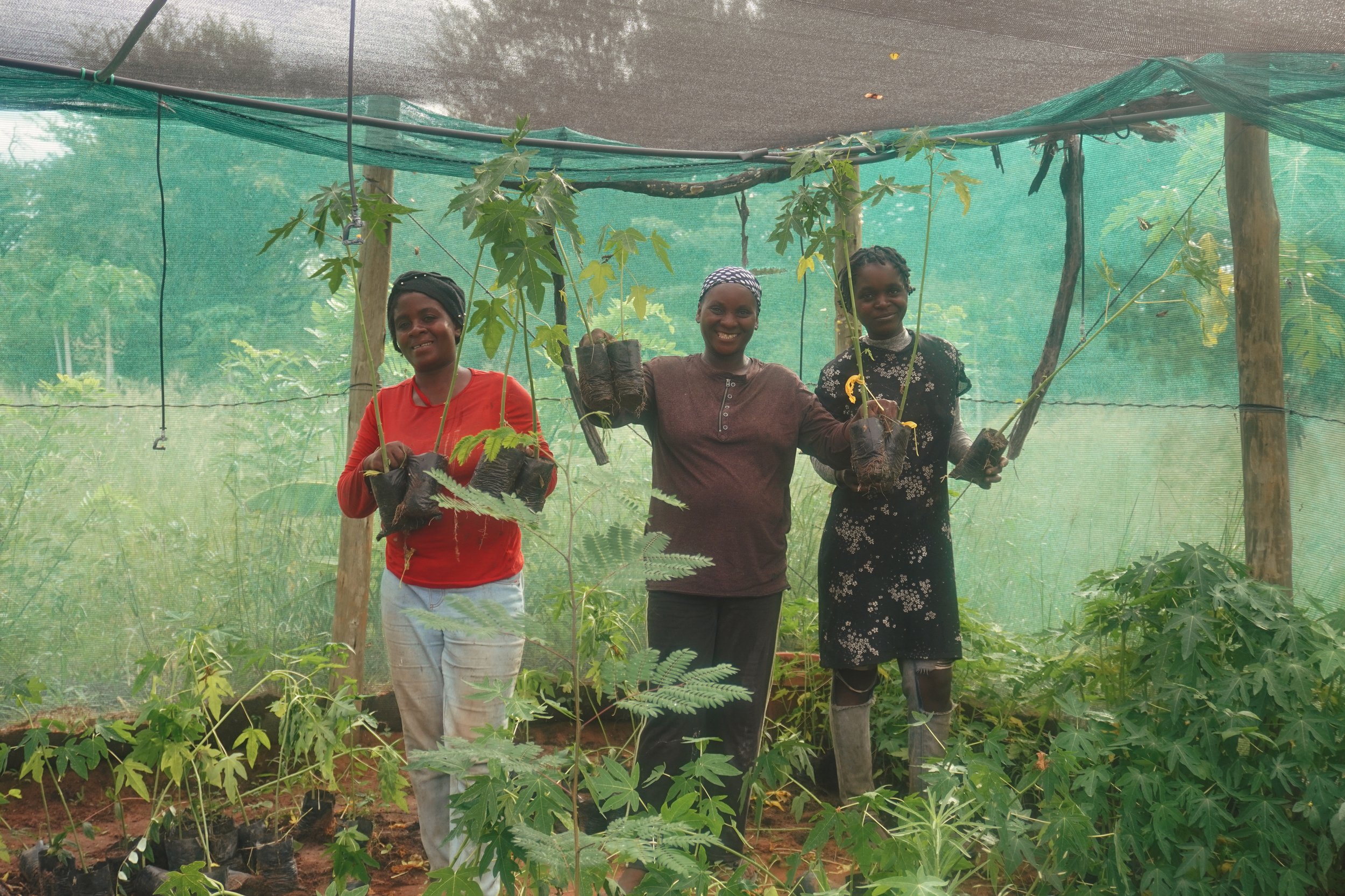 Three women standing inside a greenhouse, smiling, holding potted plants young saplings, surrounded by green foliage and plants.