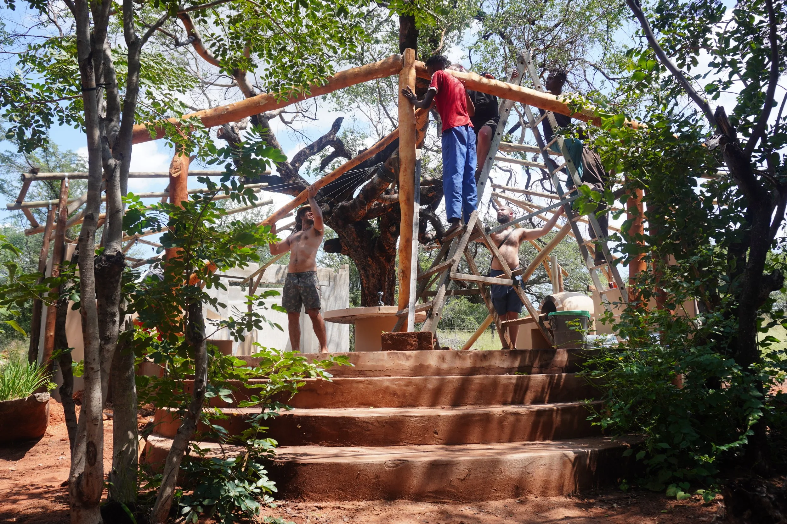 People building a wooden structure in a garden with trees and potted plants.