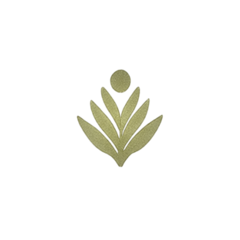 Green plant with elongated leaves and a single round yellowish fruit or flower at the top.