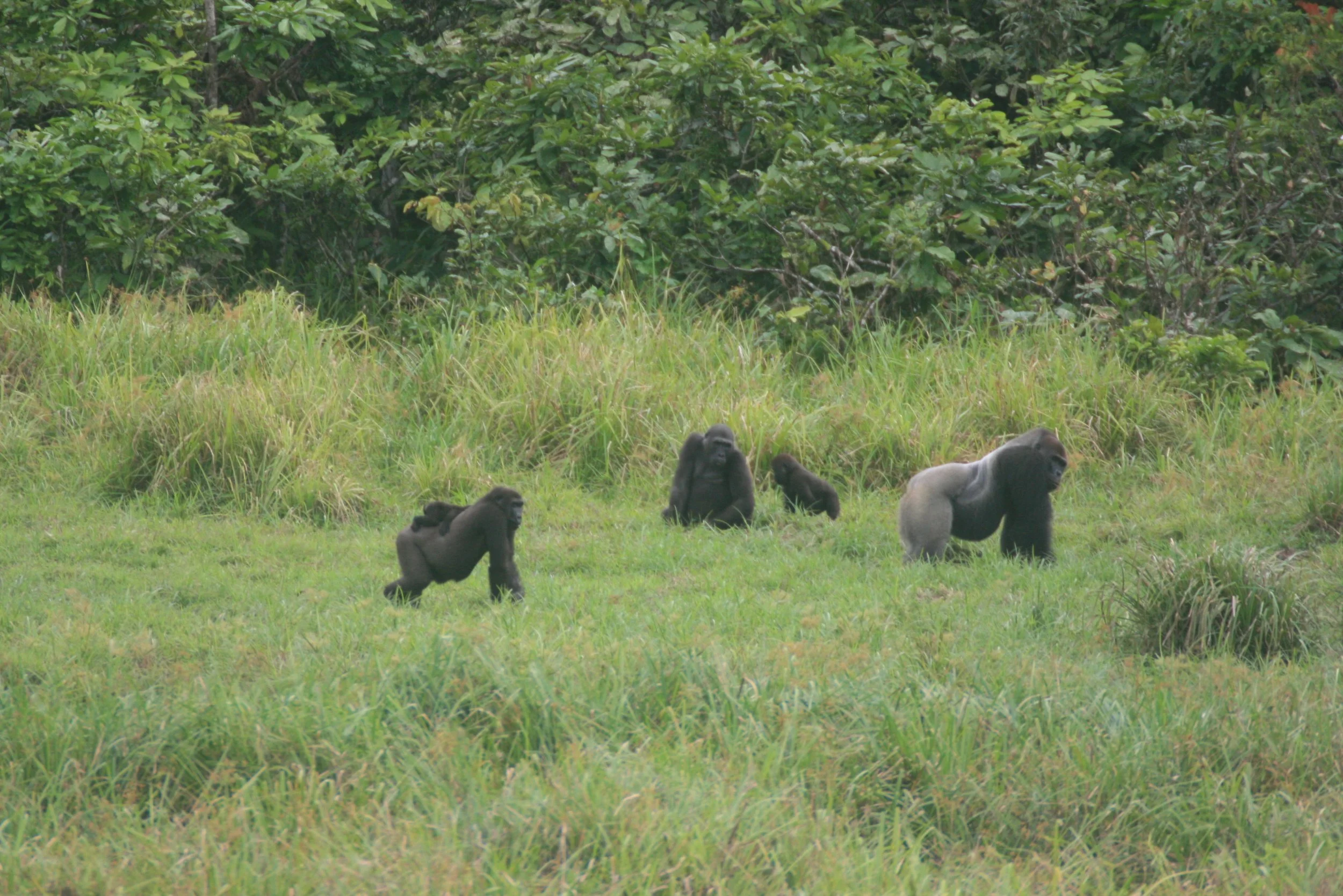 Education & Training