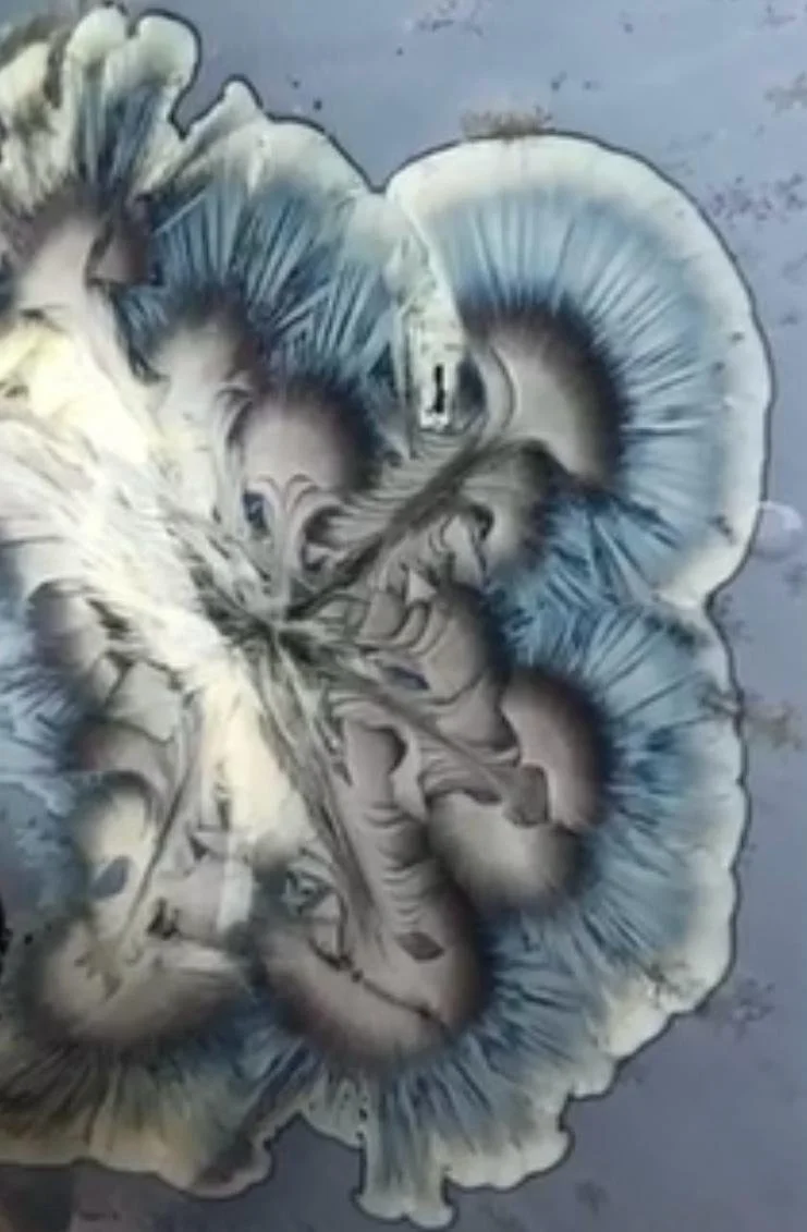 WhatsApp Image 2026-04-16 at 16.58.40.jpeg