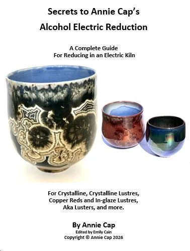 Cover Page_Secrets to Electric Reduction.jpg