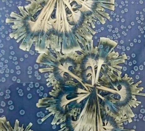 WhatsApp Image 2026-04-16 at 16.55.33.jpeg