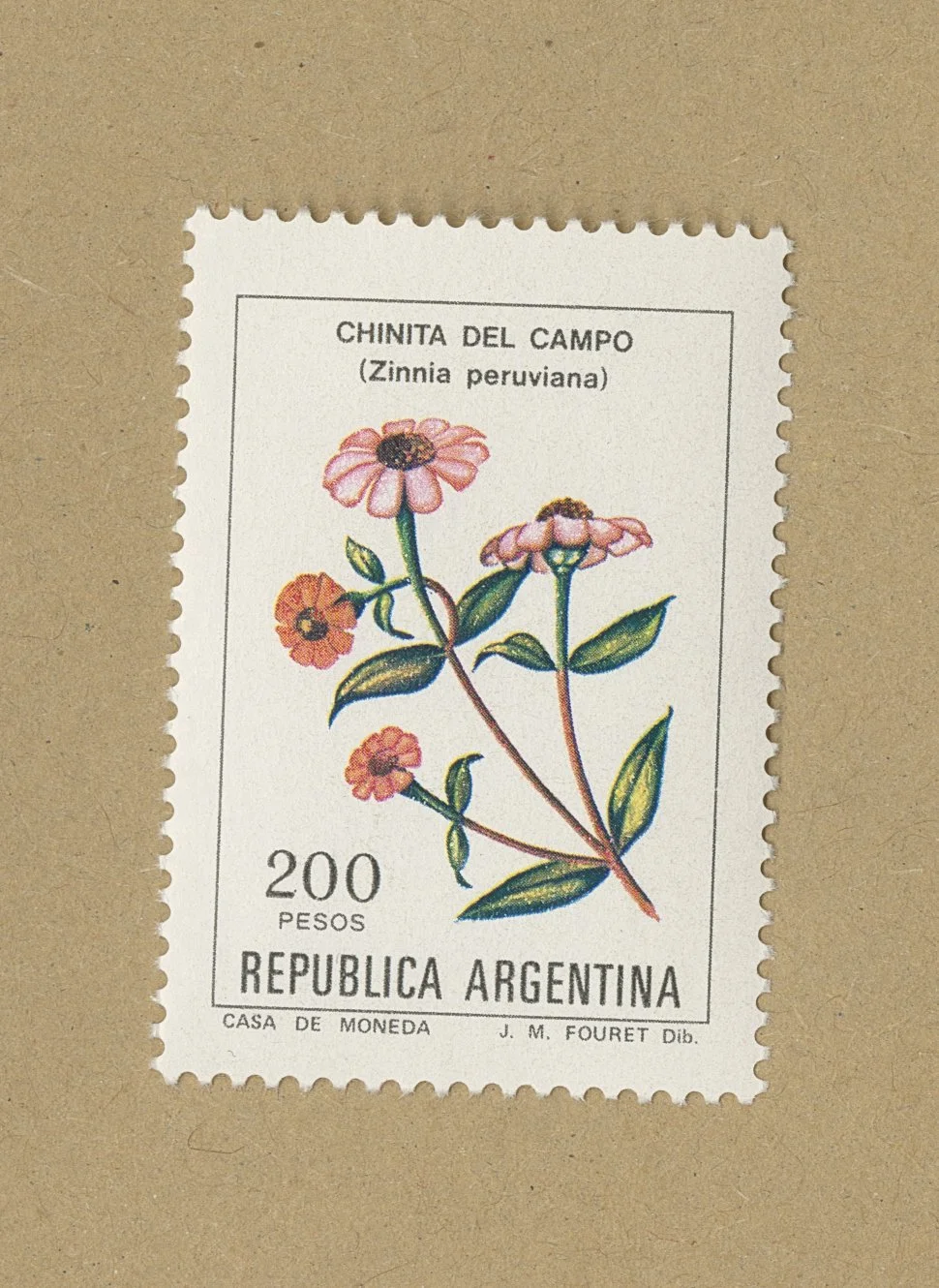 zinniarosa.jpg