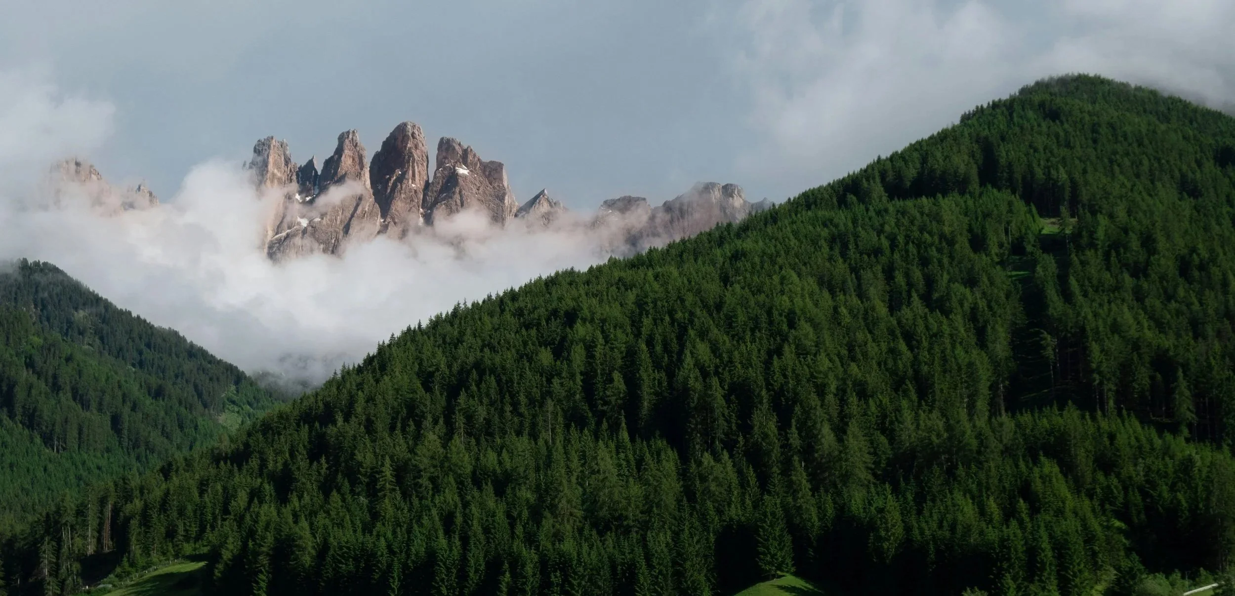 Mountain range partially covered by clouds, surrounded by dense green forest on rolling hills.