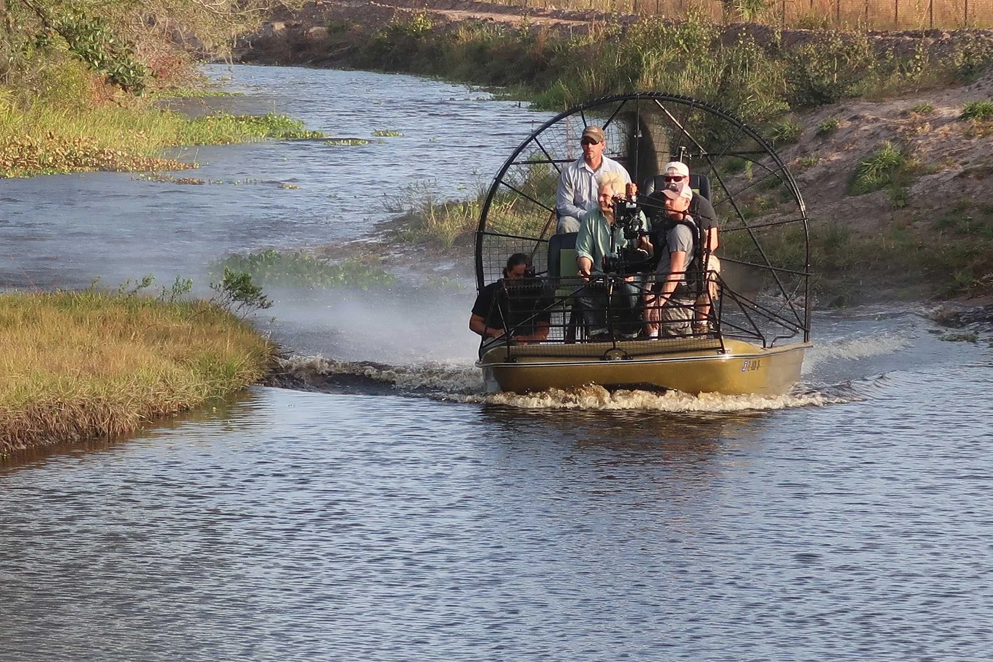 swamp-bts03.jpg