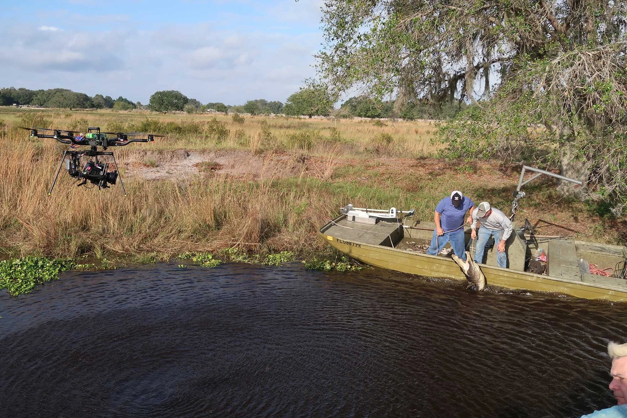 swamp-bts05.jpg