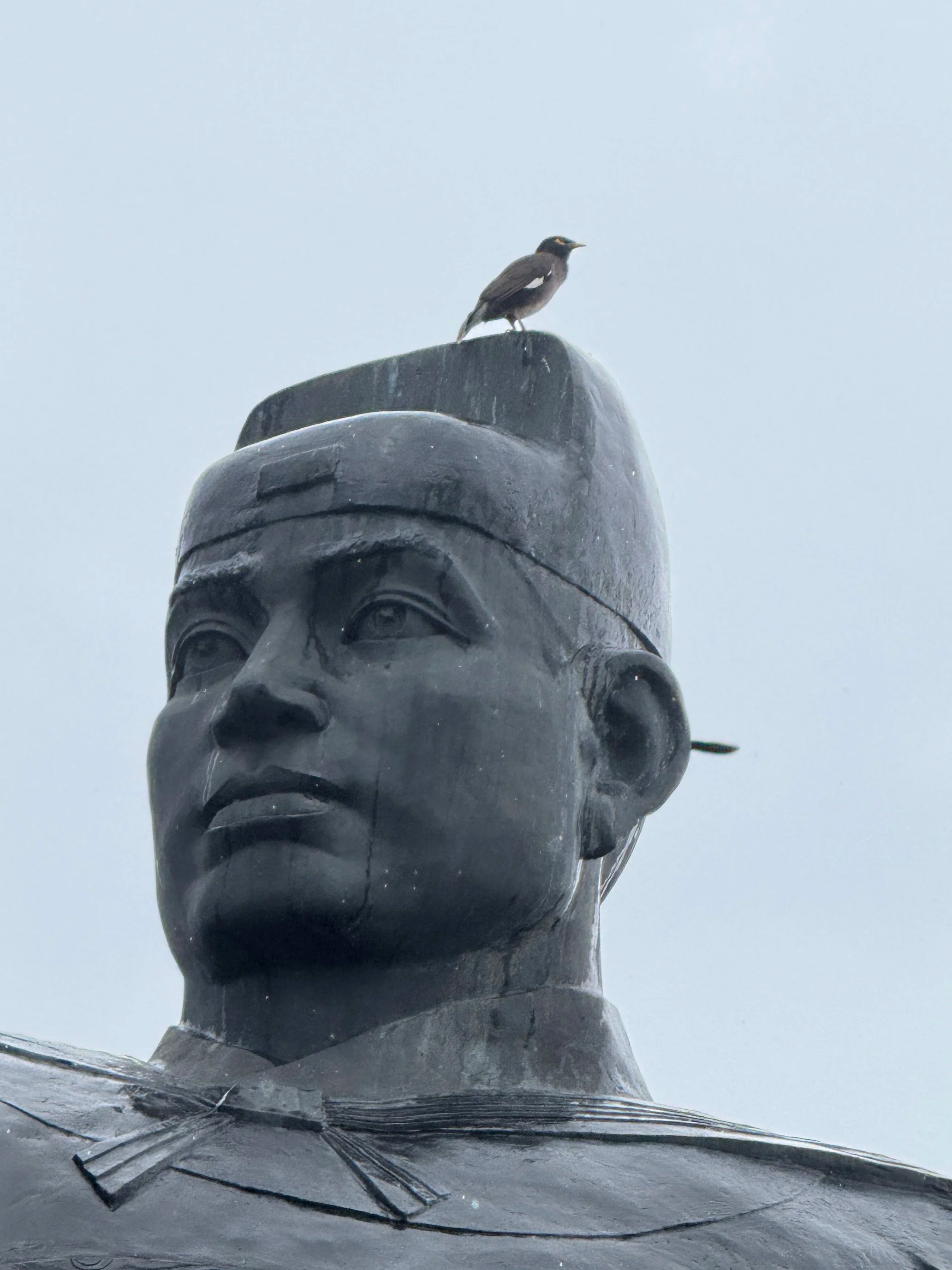 A close-up of a large monument sculpture of a person's face, with a bird perched on top of the head.