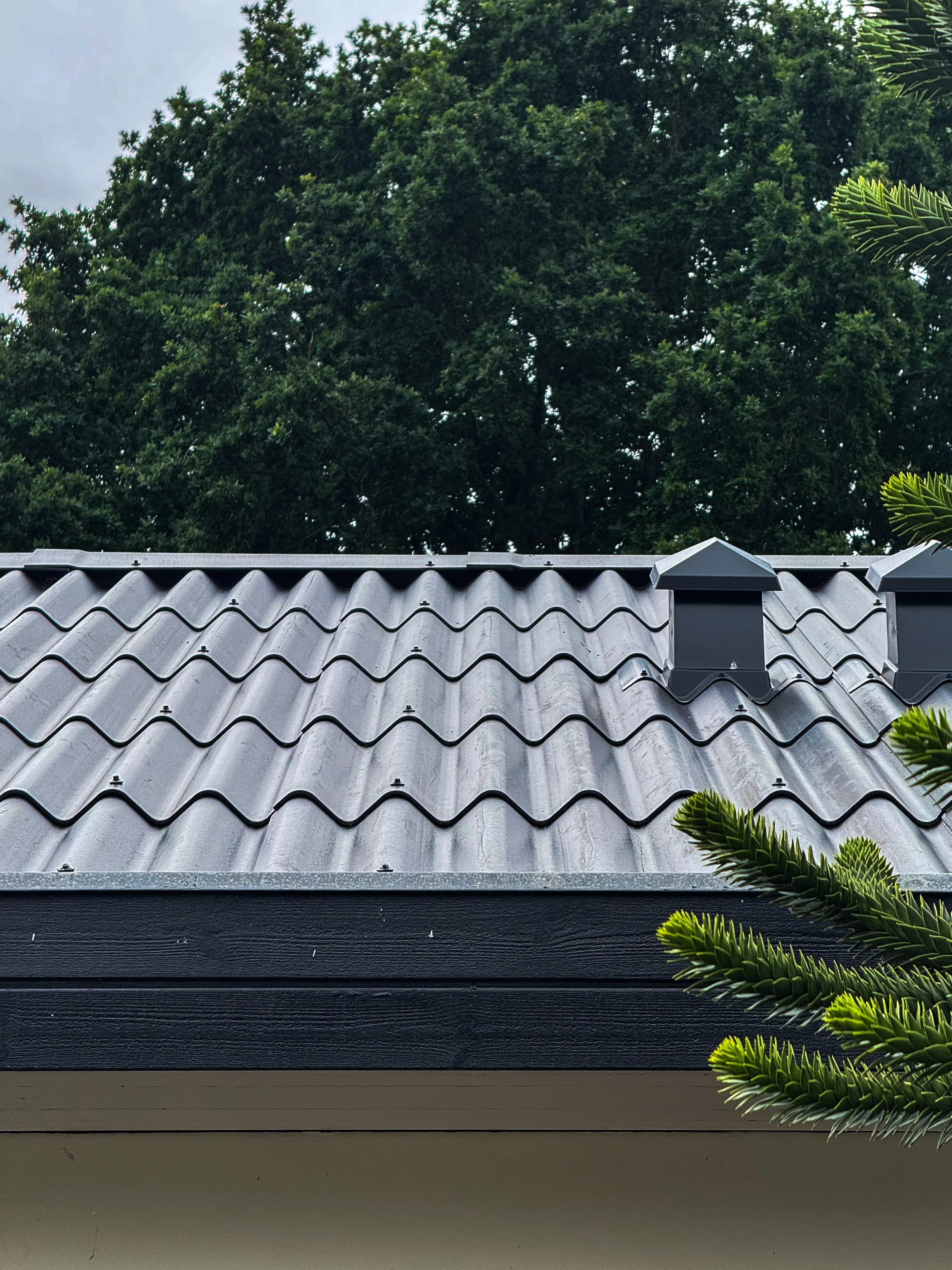 IMG_3185.jpg