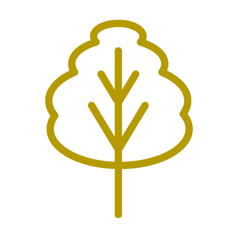Golden outline of a cotton plant with a black background.