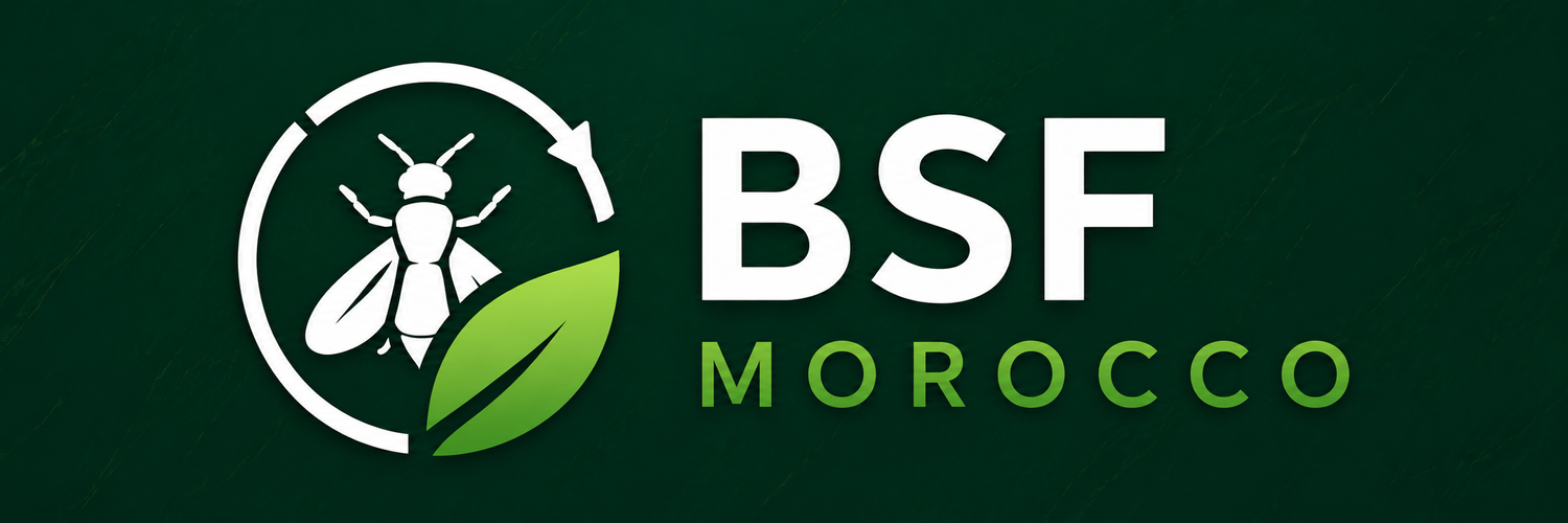 BSF Morocco