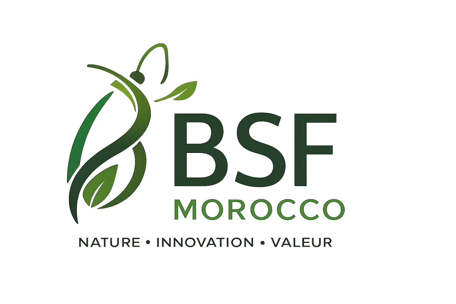 BSF Morocco