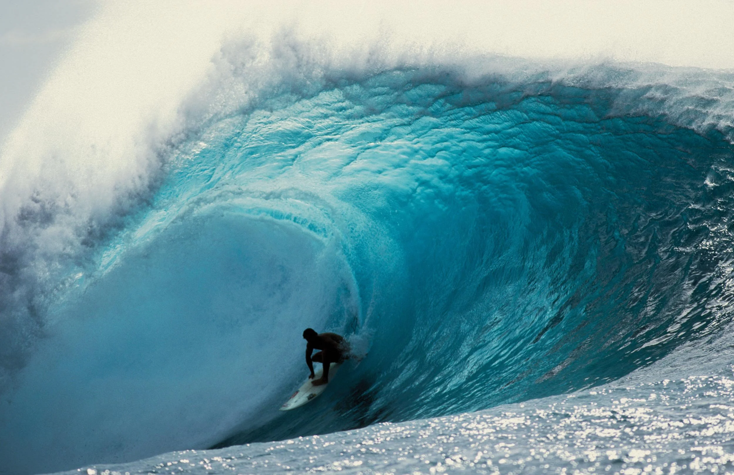 ©2026_HankFoto.LLC_Reef-MacIntosh.jpg
