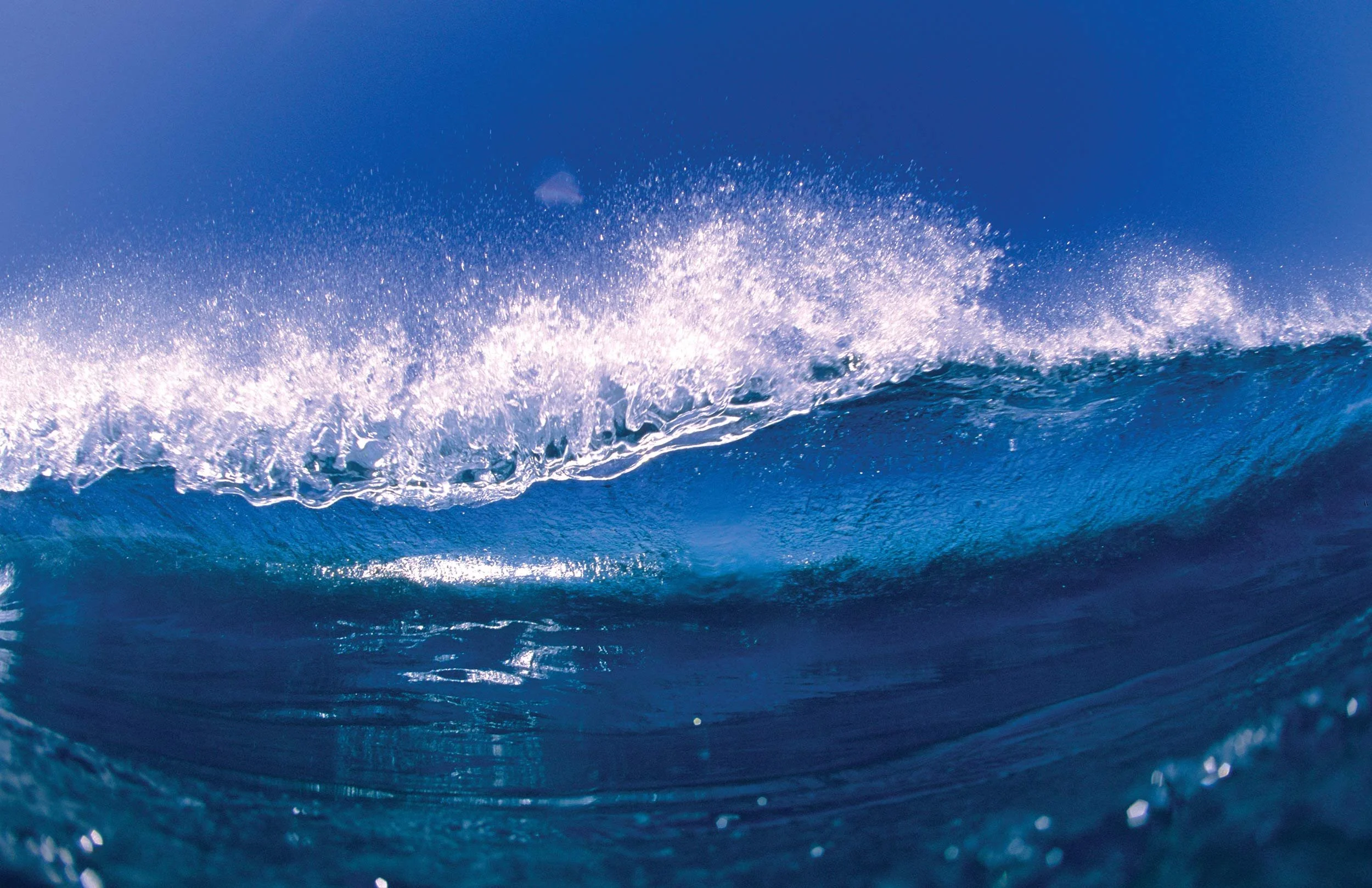 ©2026_HankFoto.LLC_Shorebreak.jpg