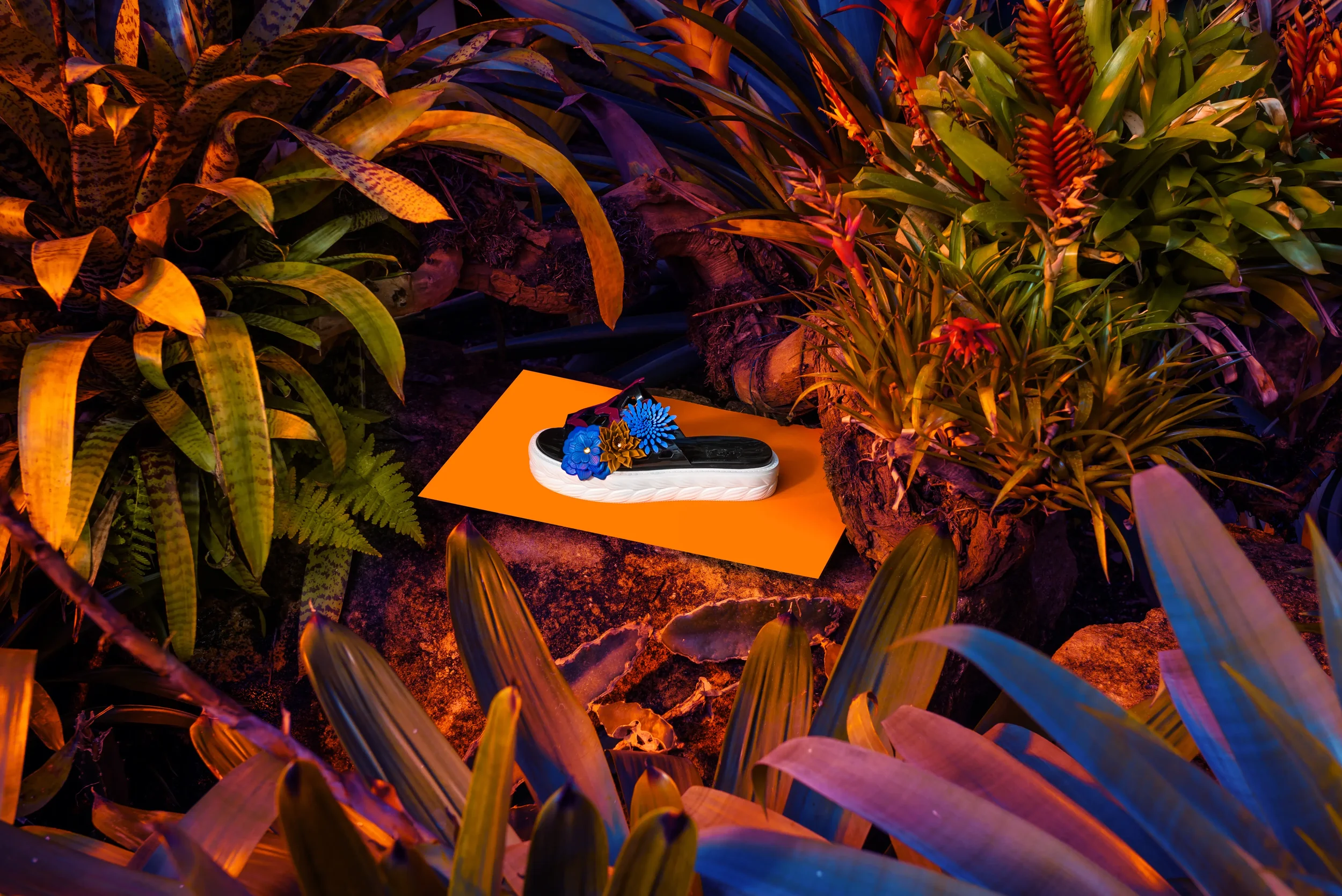 A pair of black sandals with blue and gold floral decorations on a bright orange surface, surrounded by lush plants with long, colorful leaves and flowers in a dimly lit, vibrant setting.