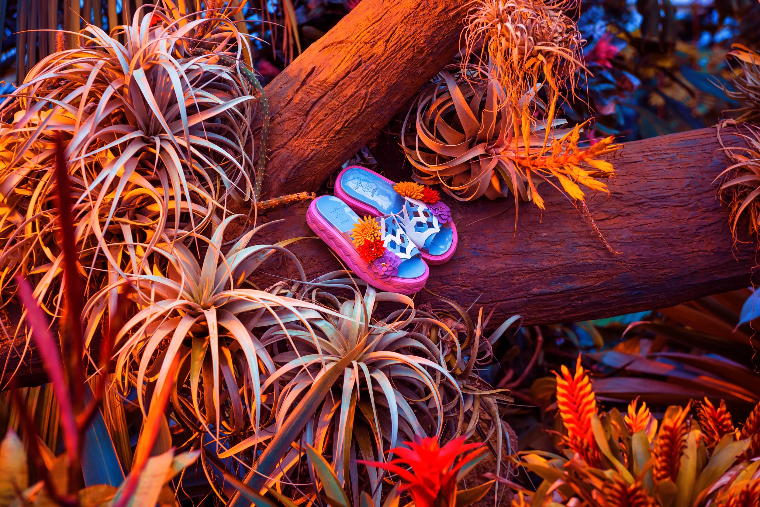 Colorful garden scene with orange, red, and purple flowers and desert plants, including succulents and cacti, with a fallen reddish-brown log.