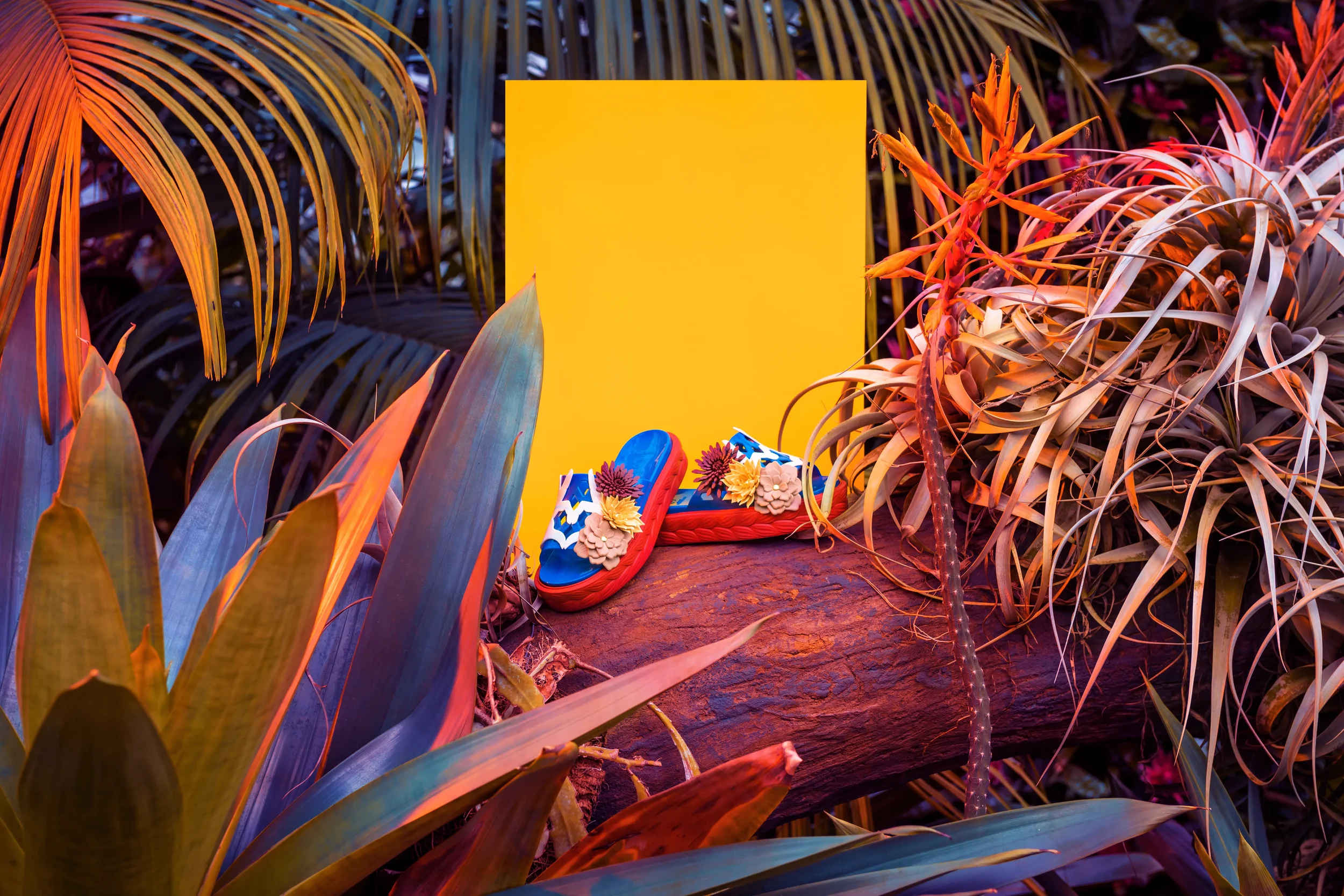 Colorful flip-flops with floral decorations placed among tropical plants and foliage, with a yellow rectangular backdrop.