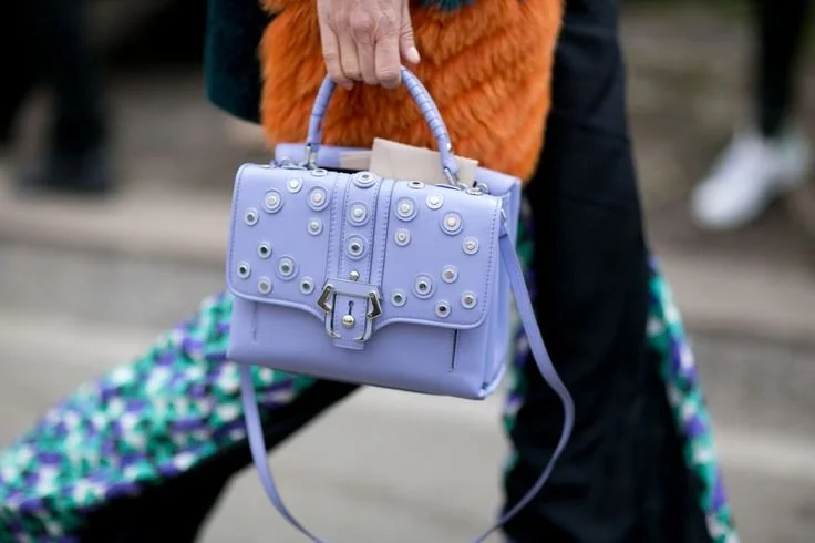 Street style_ Paula Cademartori bag.jpeg