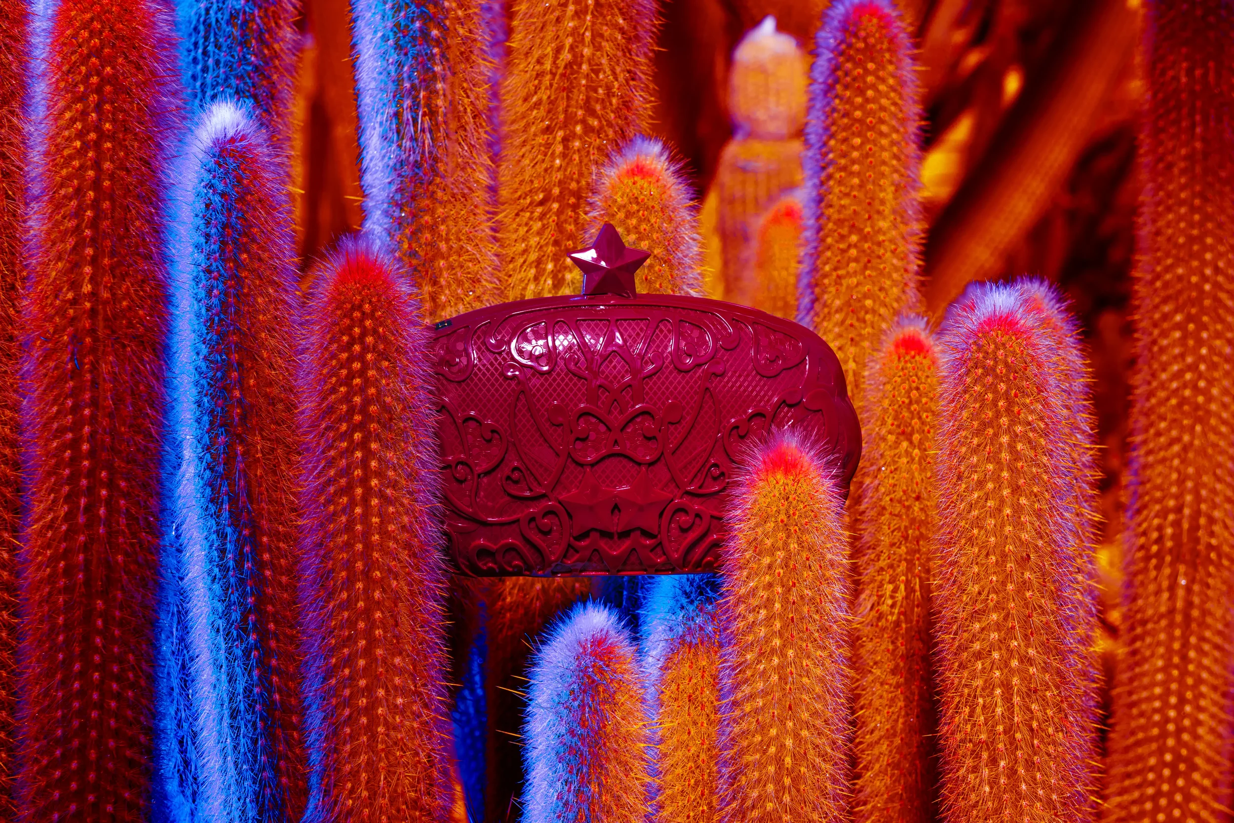 Close-up of colorful, spiky cacti in red, orange, purple, and blue hues with a small red decorative object with a star on top in the foreground