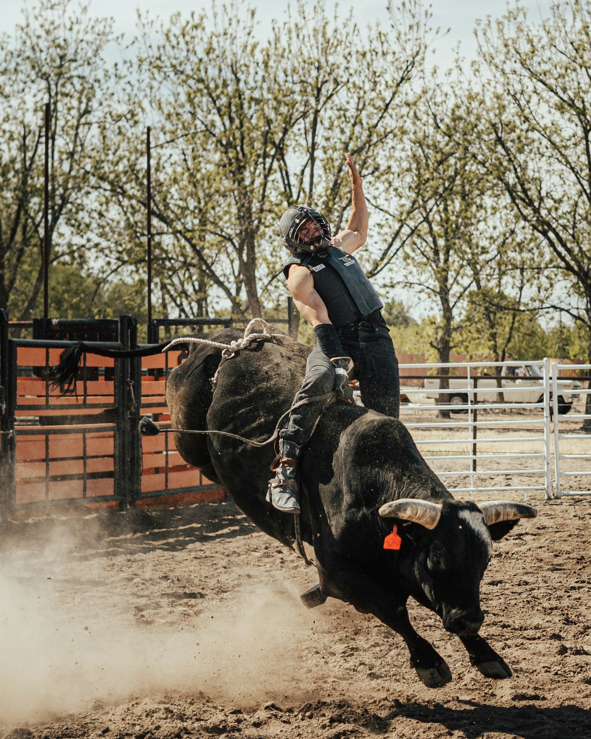 A person riding a bucking bull in an outdoor rodeo arena during the daytime.