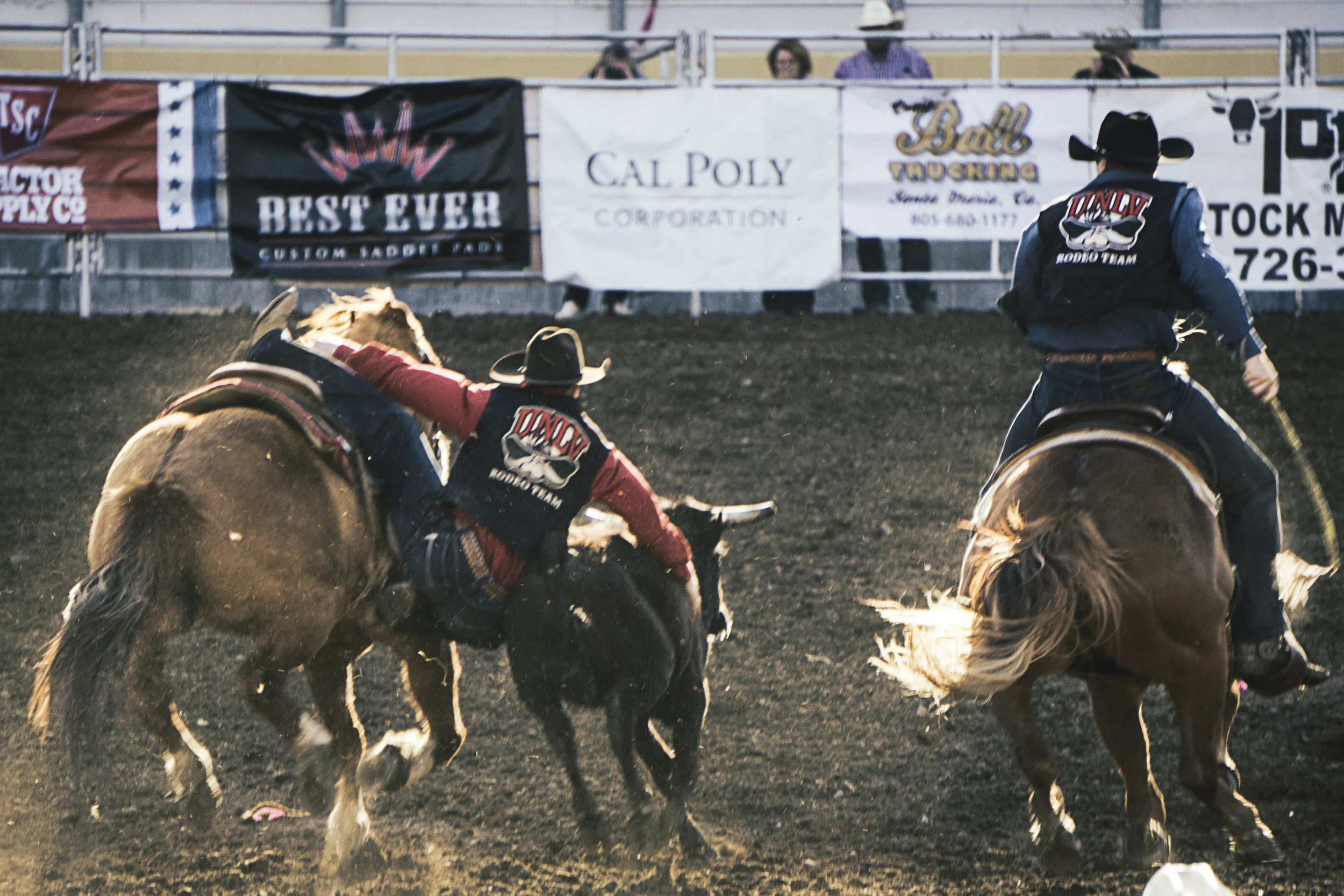 Two cowboys in Western attire are riding horses and attempting to rope a steer on a rodeo arena. Spectators watch from behind a fence with banners advertisements.