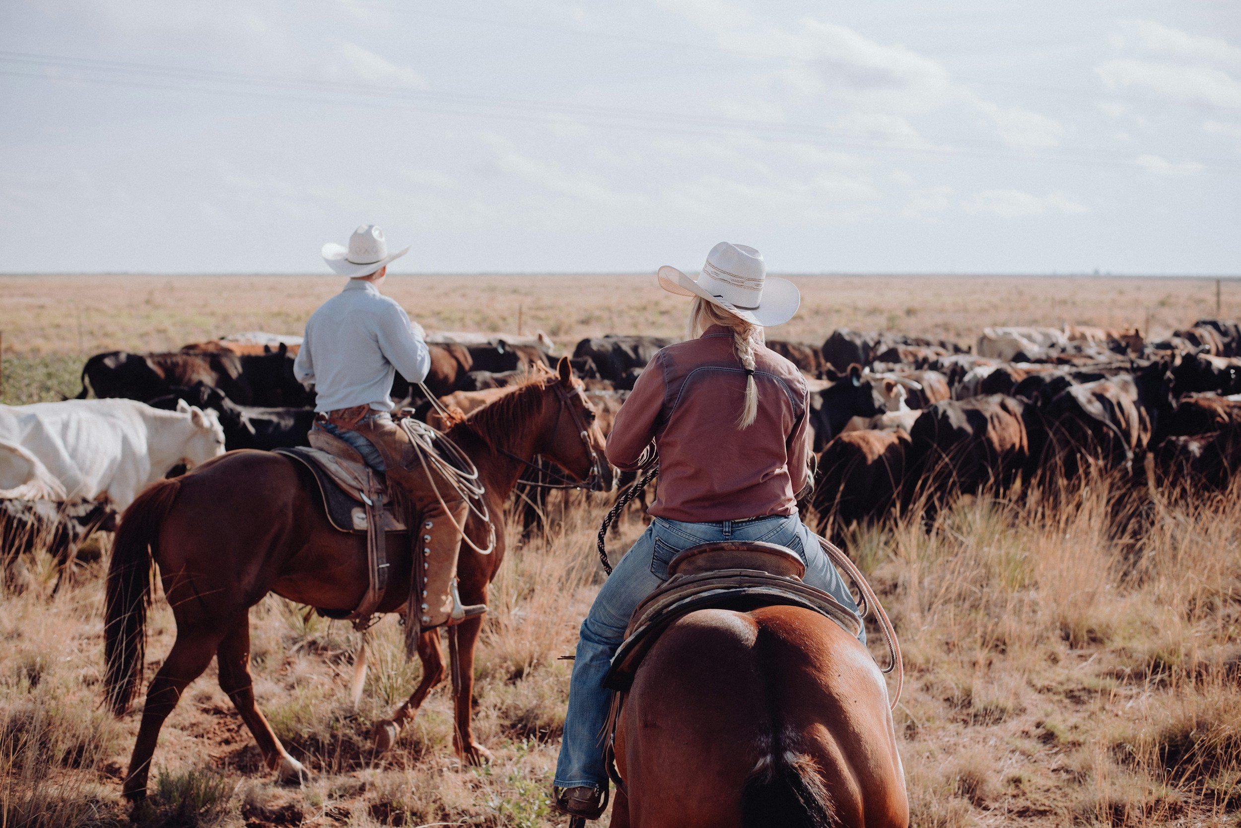 Two cowboys on horseback herding cattle in an open plain under a partly cloudy sky.