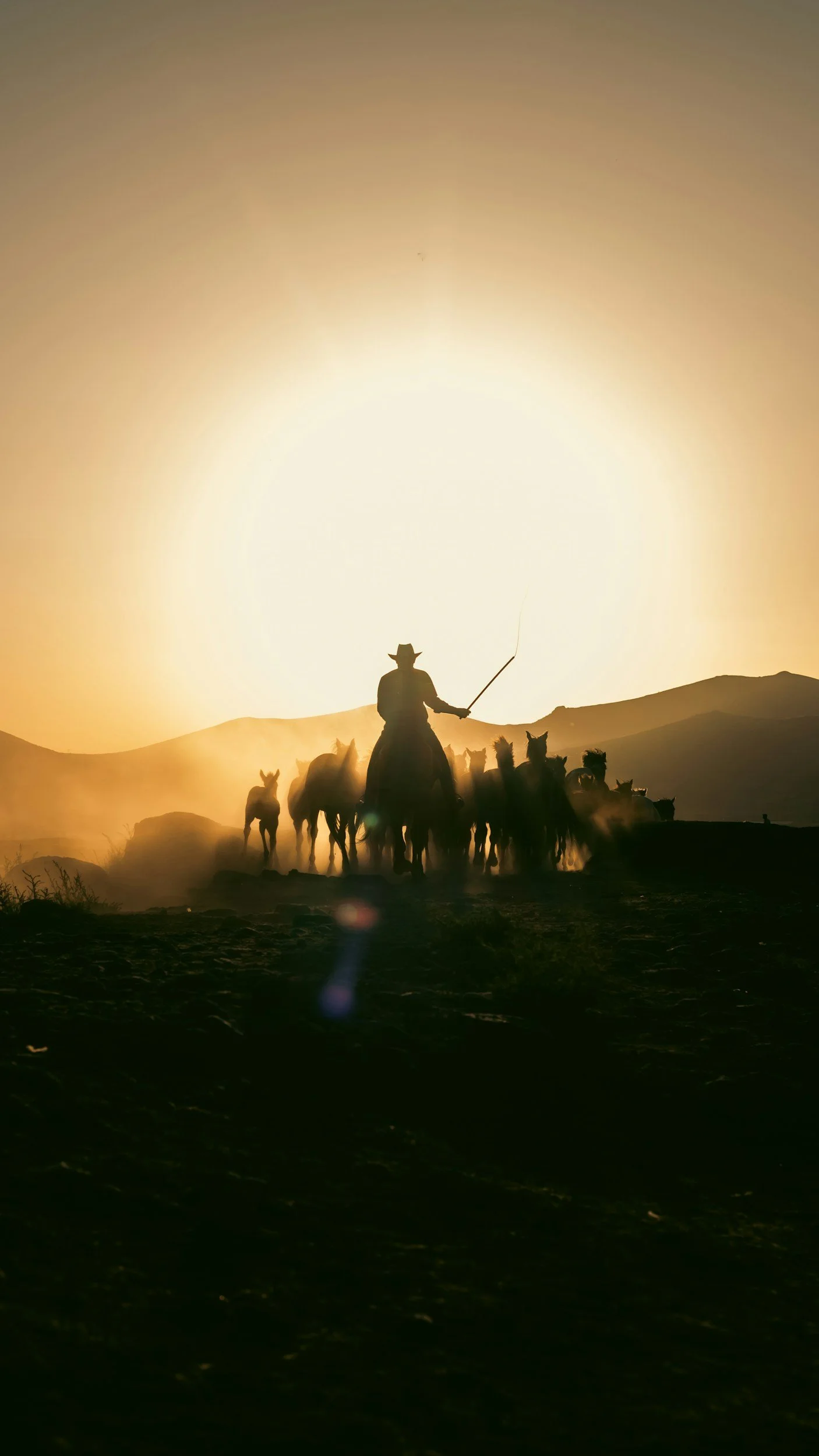 Silhouette of a cowboy riding a horse with a group of horses behind him, set against a bright sunset or sunrise in a desert landscape.