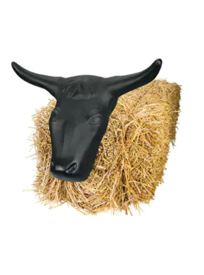 Cactus-Rope-Steer-Head-Dummy.webp