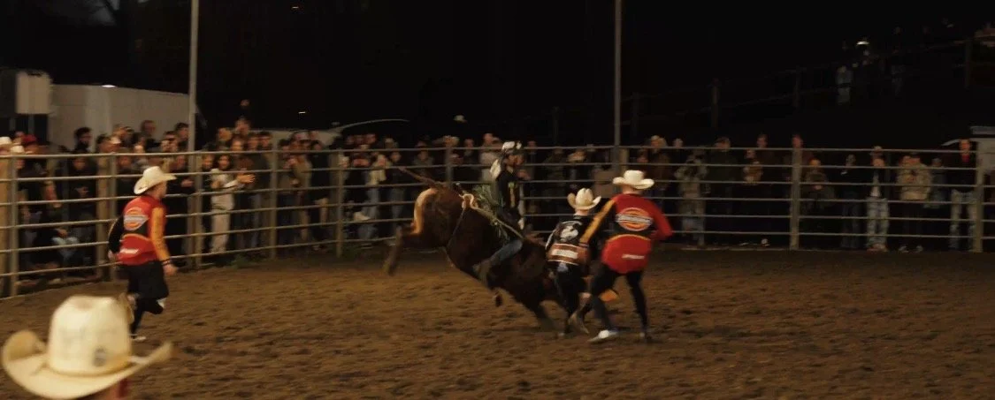 Rodeo event with cowboys, horses, and a bull in a fenced arena at night, with spectators watching.