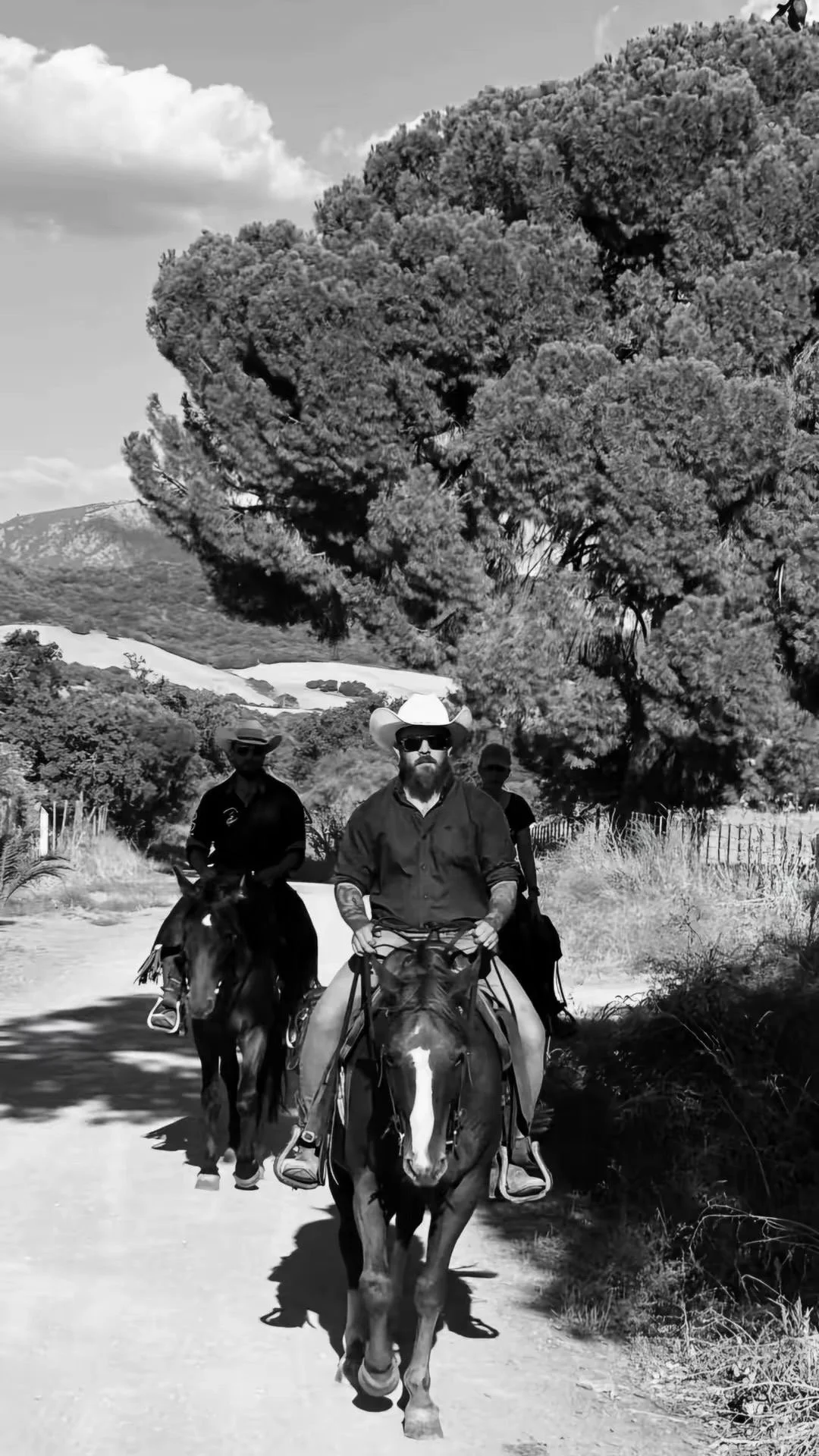 Group of three men riding horses on a dirt trail; the man at the front wears a cowboy hat and sunglasses, while the others wear hats and casual clothing; tall trees and mountains are in the background.