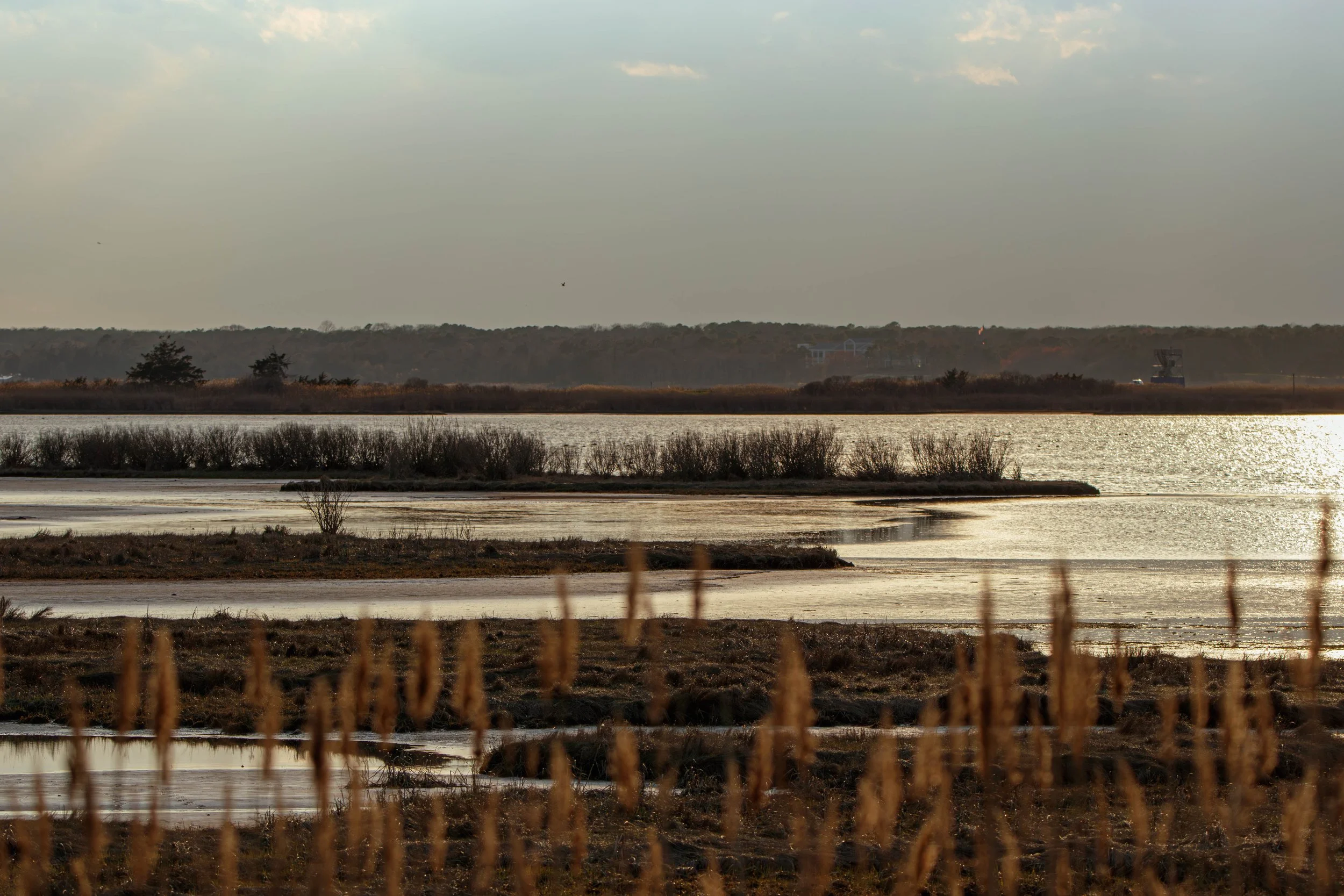 landscape (1 of 1).jpg