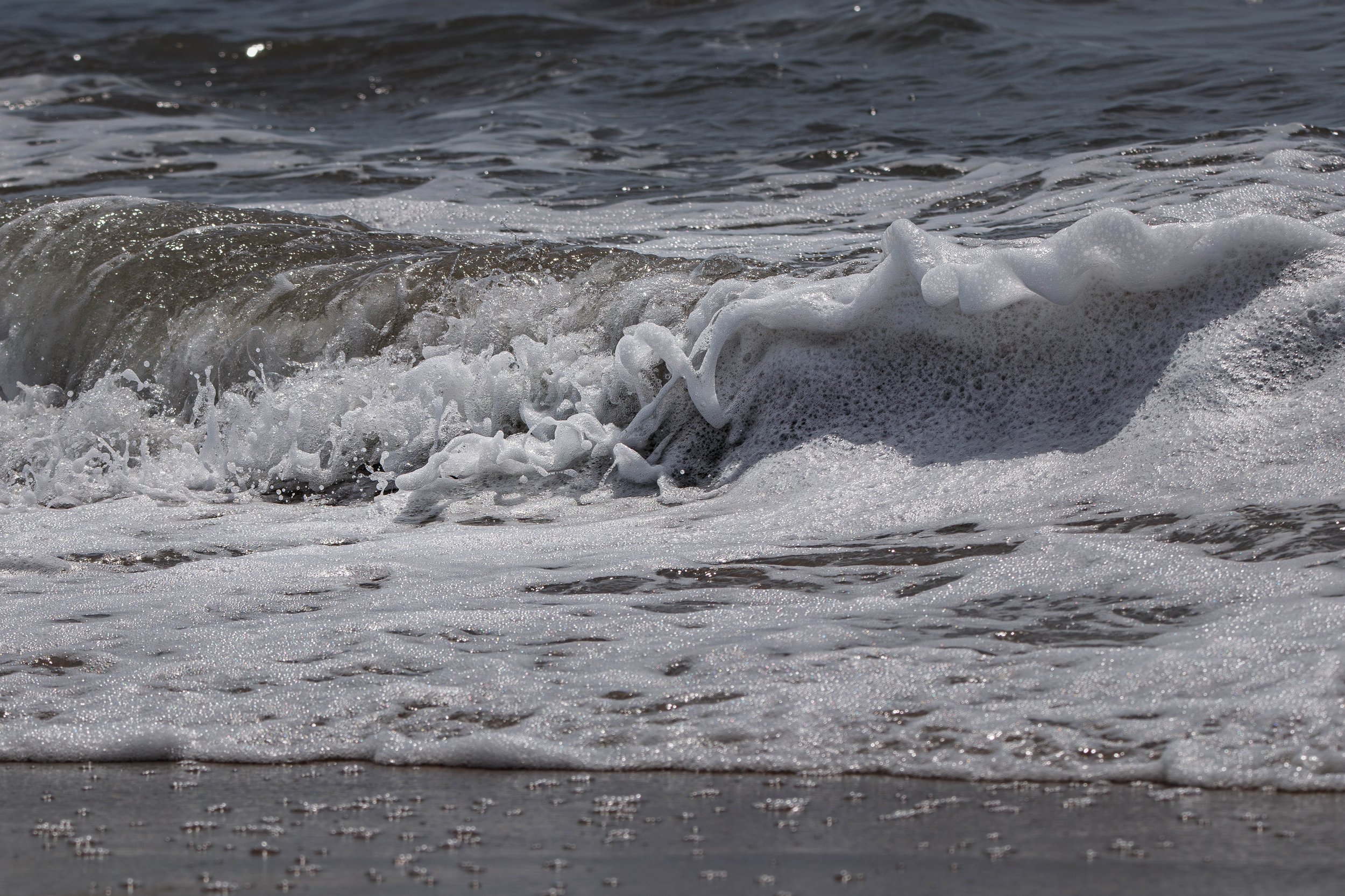 wave (1 of 1).jpg