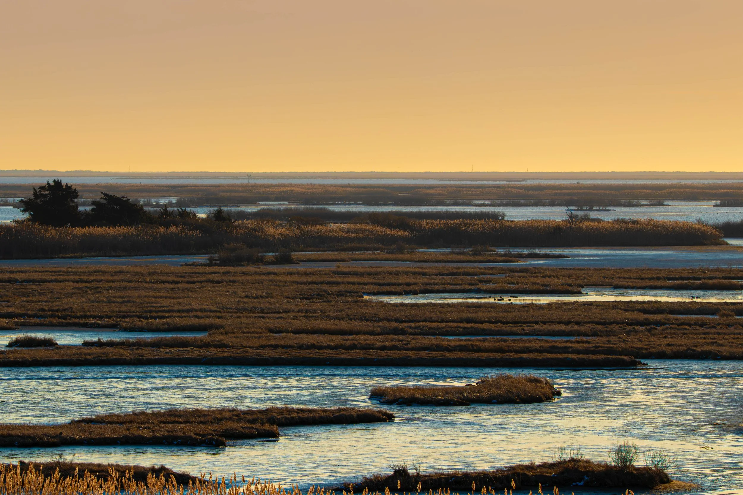 Tide & Field Visuals | Discover Powerful Imagery – Get Started
