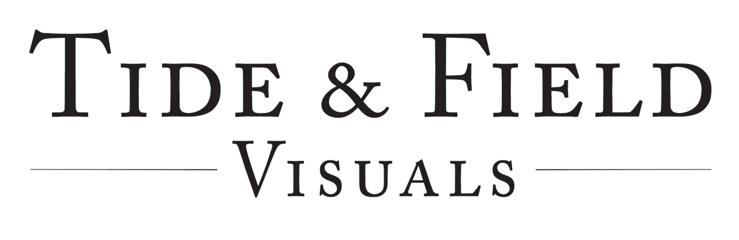Tide &amp; Field Visuals