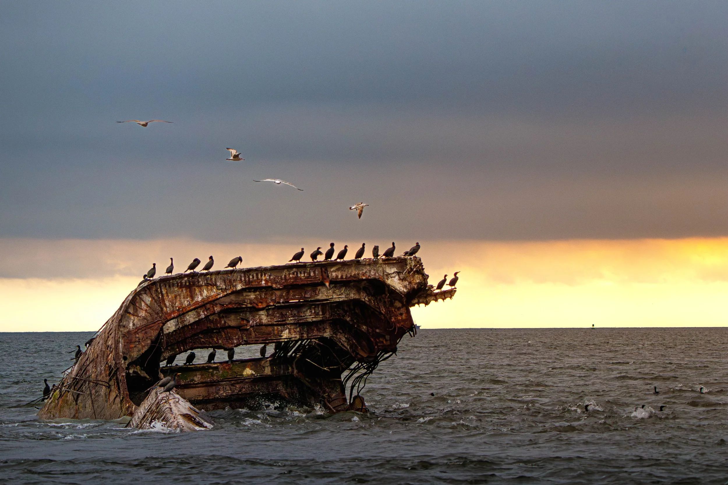 SunkenShip (1 of 1).jpg