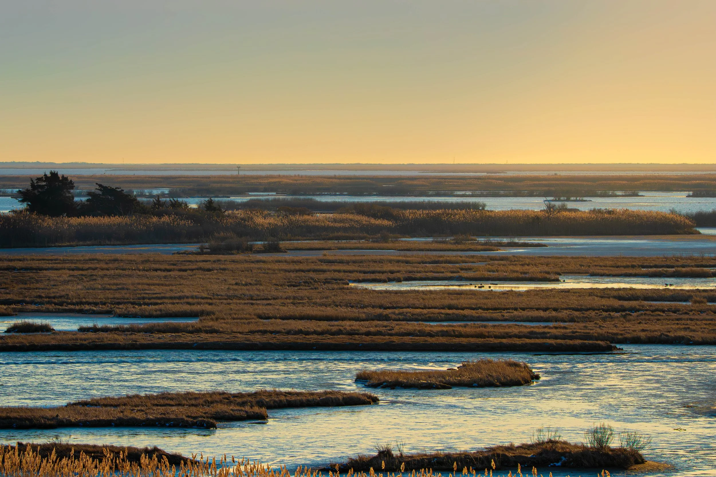landscape (1 of 1).jpg