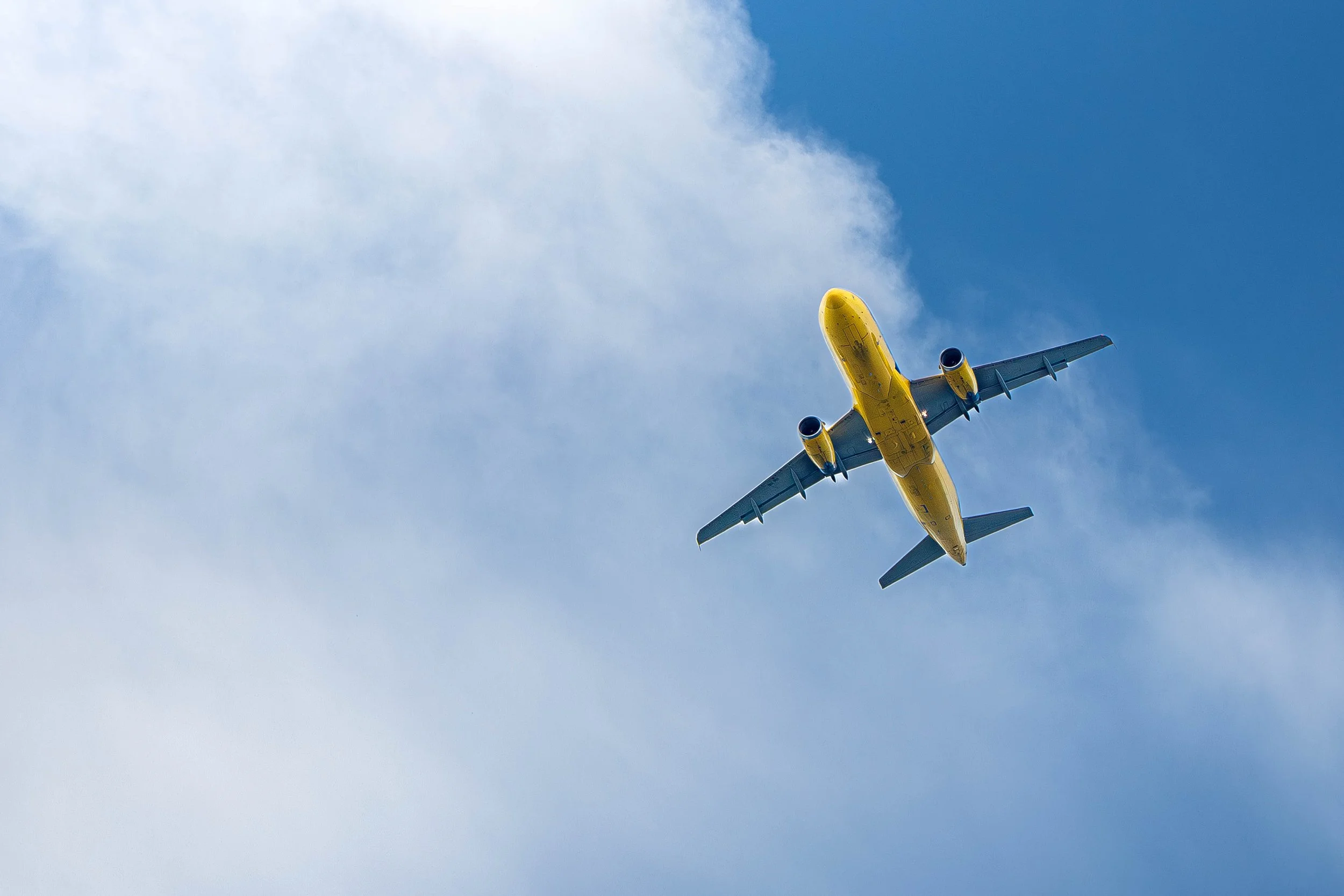 Plane (1 of 1).jpg