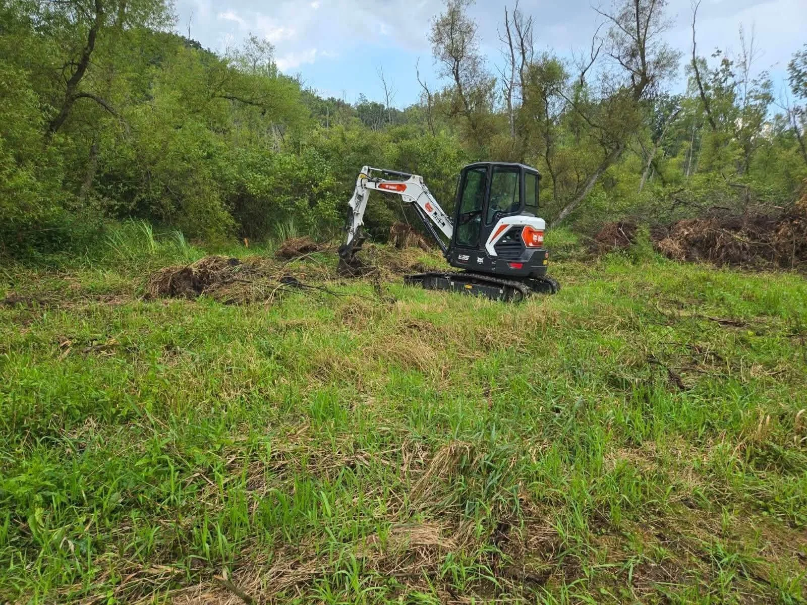 Compact tracked excavator clearing overgrown vegetation in a wooded grassy area
