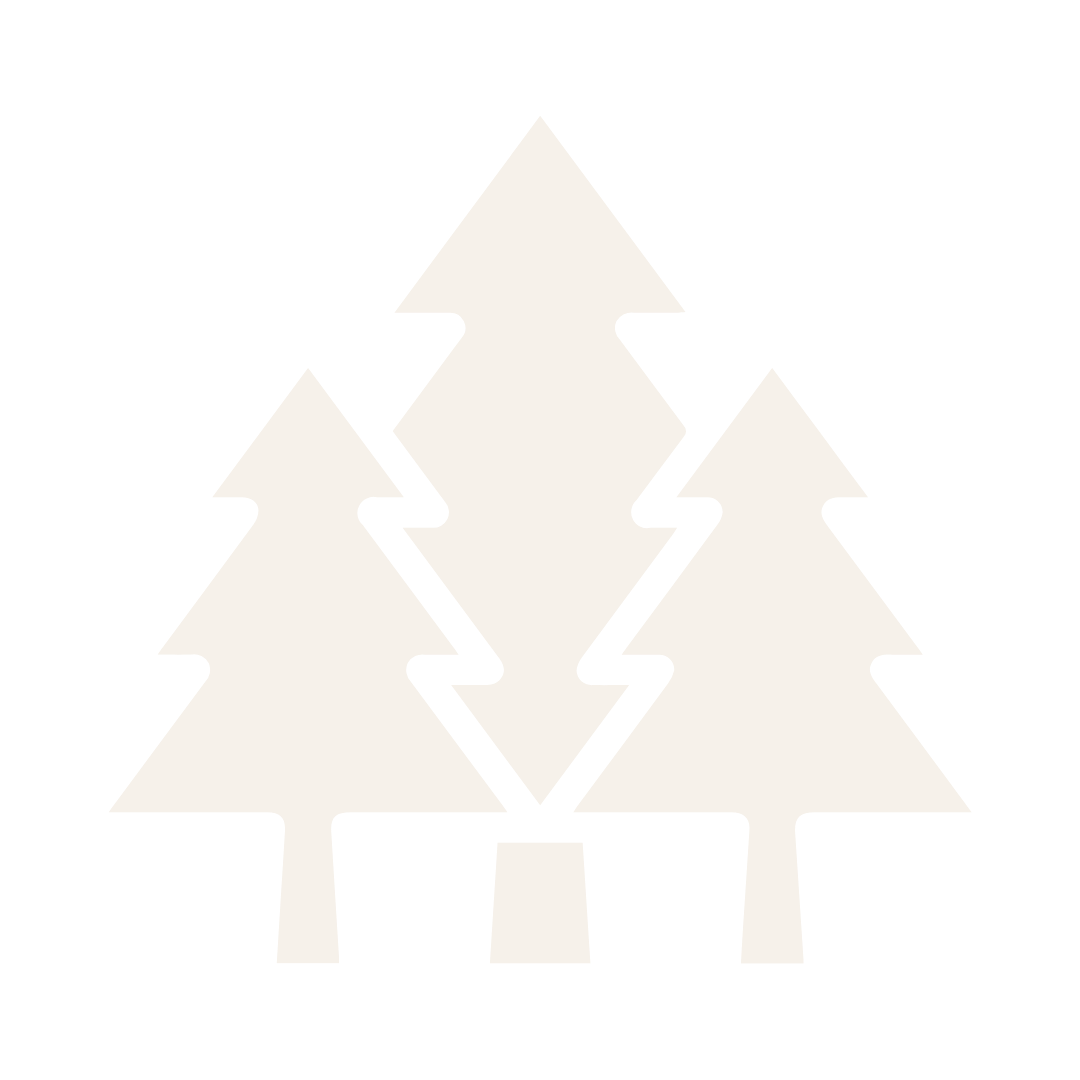 Black and white graphic of three stylized pine trees on a black background.