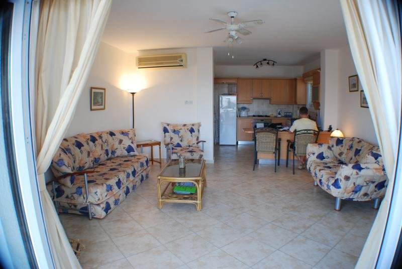 Living room with floral-patterned sofas, a coffee table, and a person sitting at a dining table in an open kitchen area. Curtains are partially drawn, and there are paintings on the walls.