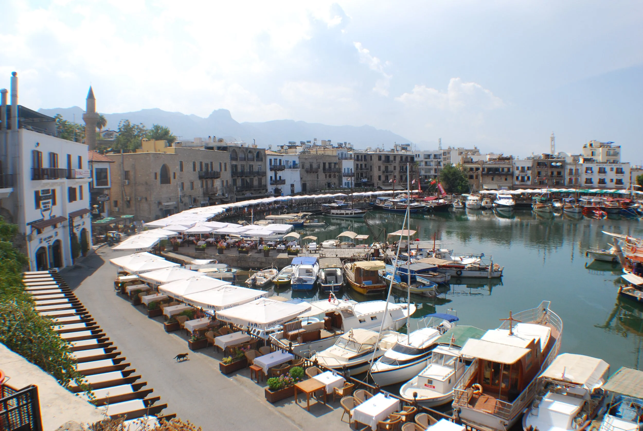 DSC_1763.JPG