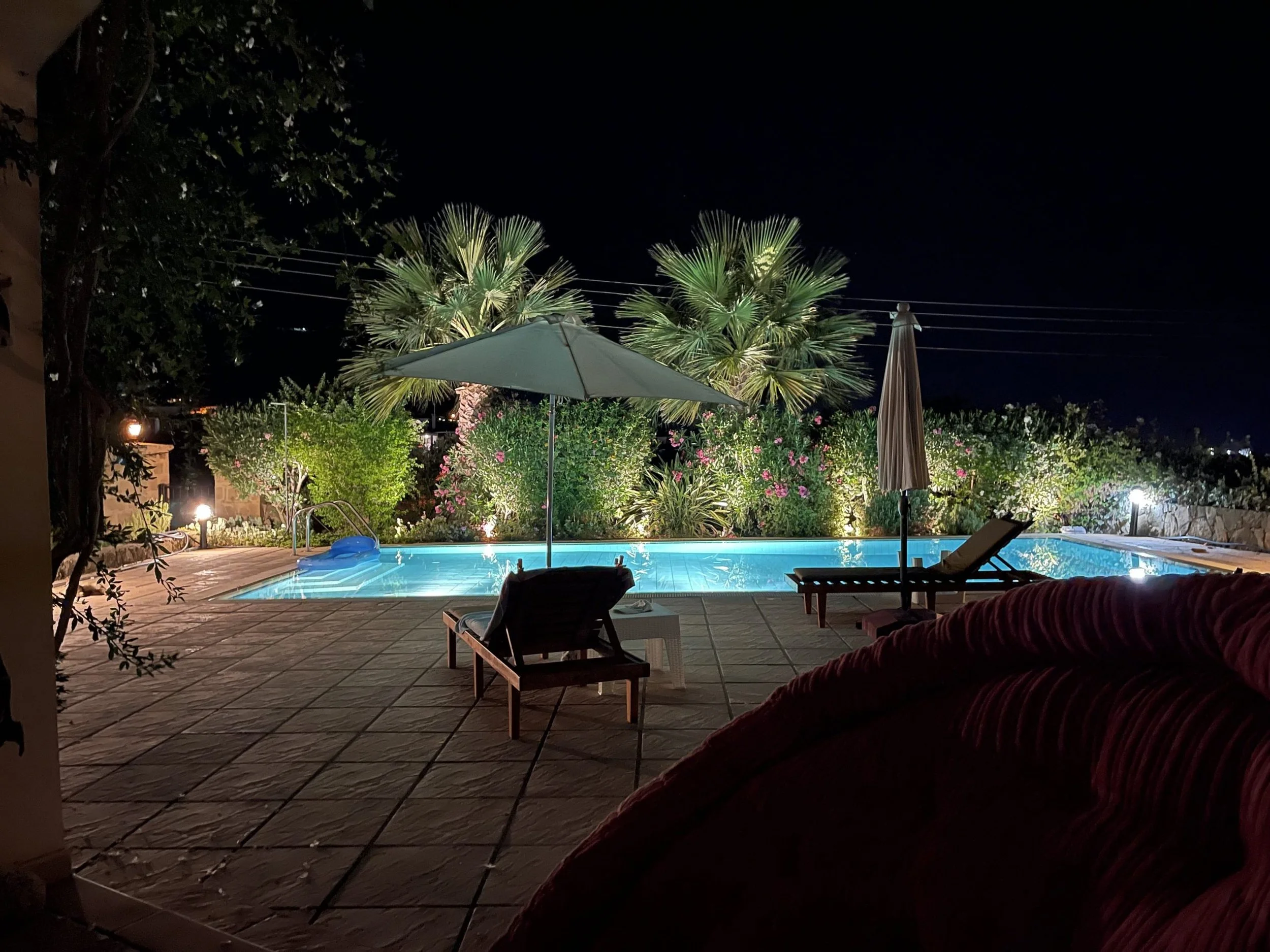 Nighttime scene of a backyard pool area with lounge chairs, umbrellas, and lush tropical plants surrounding the pool, illuminated by outdoor lighting.