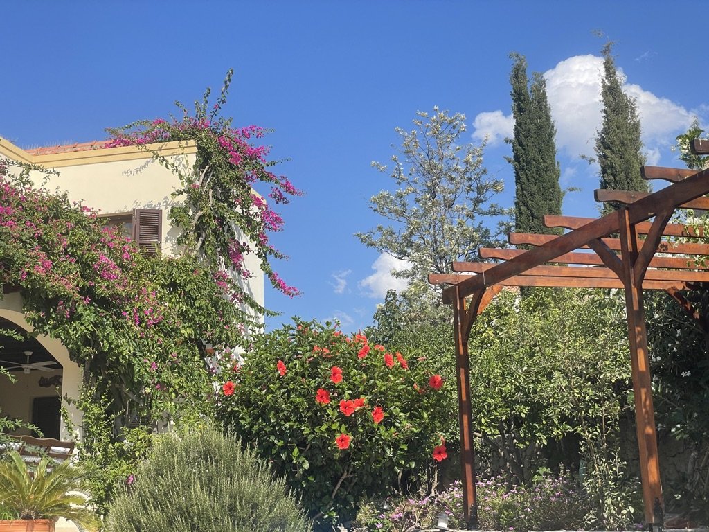 A lush garden with flowering plants including bougainvillea and hibiscus, a wooden pergola, and a white building with brown shutters under a blue sky with scattered clouds.