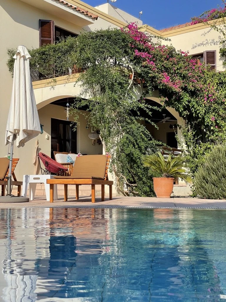 A backyard scene with a swimming pool in the foreground, lounge chairs with cushions and an umbrella, lush green plants, and a two-story house with a balcony covered in pink and purple flowering vines.