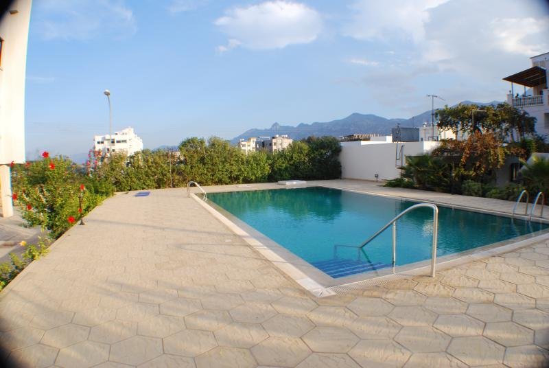 Empty rooftop swimming pool with lush greenery and city buildings in the background during daytime.